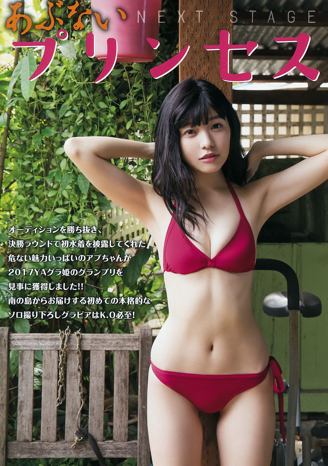 石川夏海 太田里織菜 [Young Animal] 2017年No.04 写真杂志