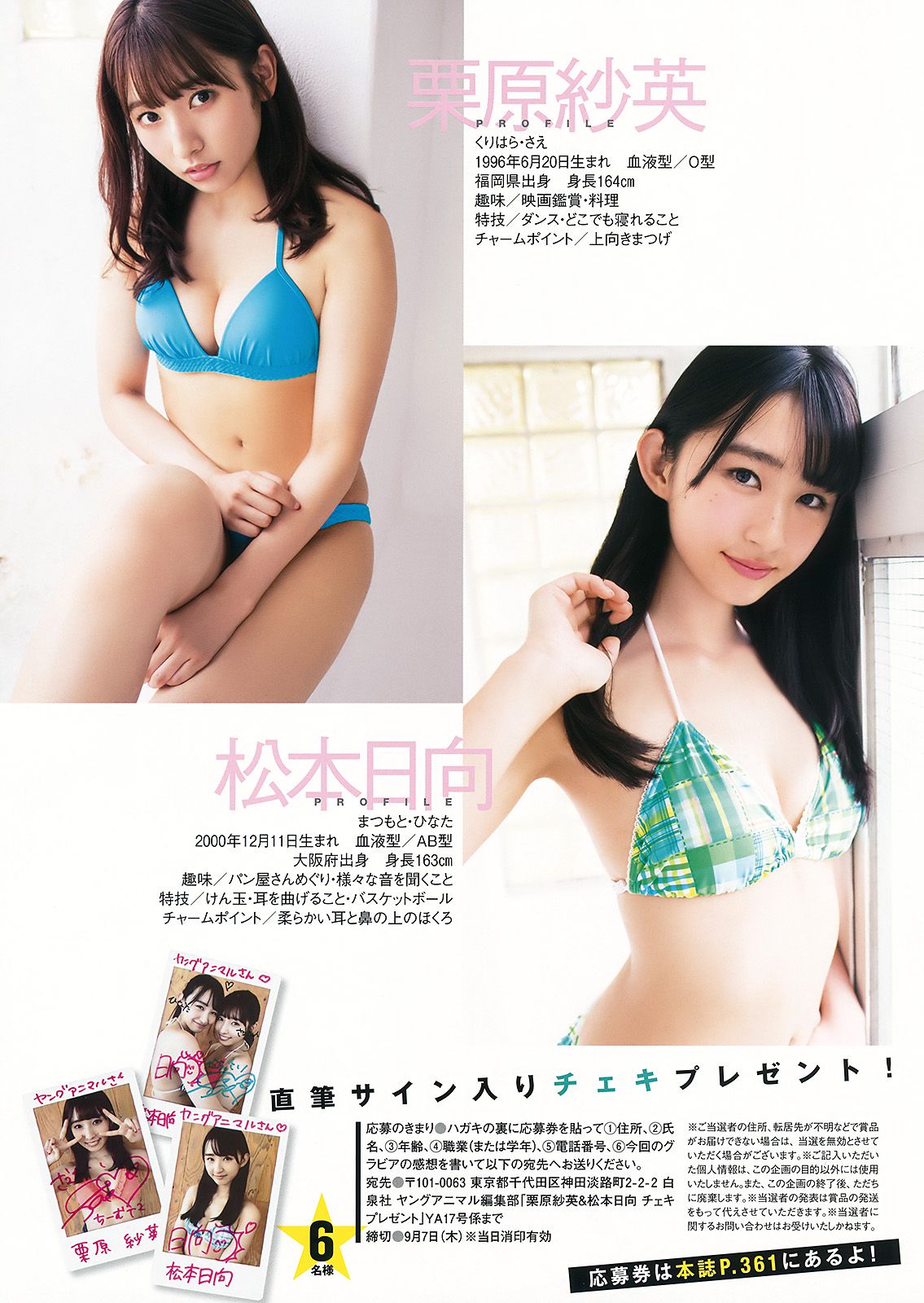 森保まどか 田島芽瑠 深川舞子 丰永阿纪 [Young Animal] 2017年No.17 写真杂志