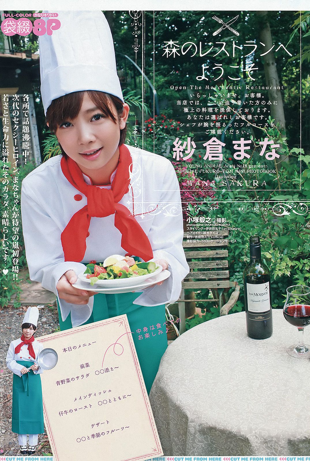 Rio 今野杏南 青野未来 紗倉まな 琥珀うた [Young Animal Arashi 岚特刊] NO.11 2012年 写真杂志