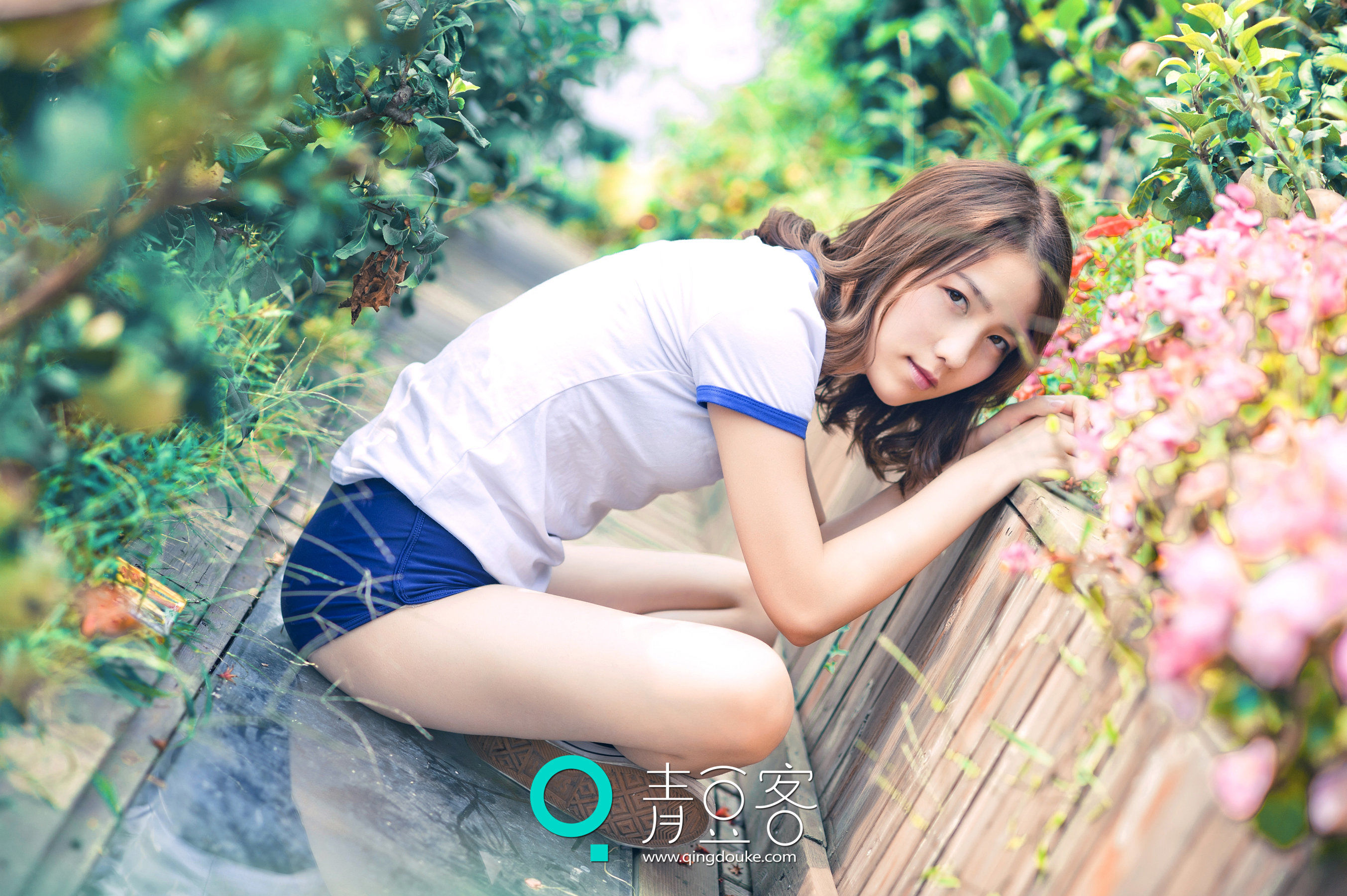 哈拿 第二部 [青豆客] 2016.12.29