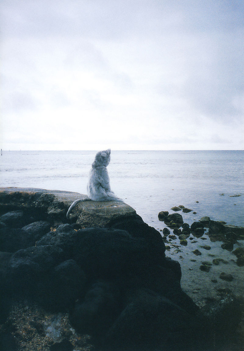 若槻千夏《Chinatty》 [PhotoBook]