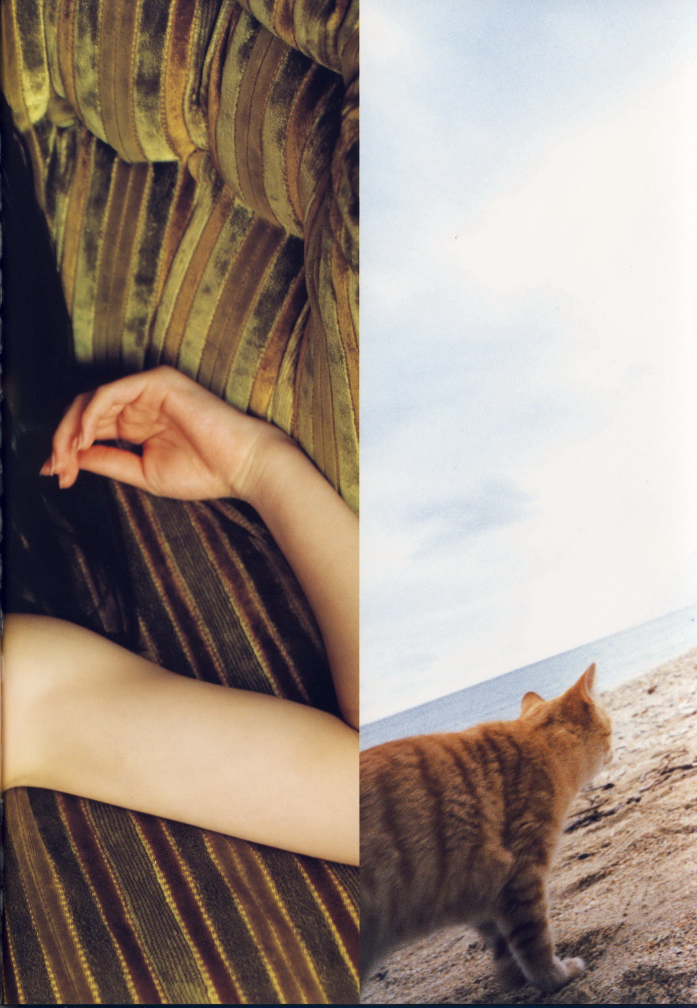 矢島舞美《舞美》 [PhotoBook]