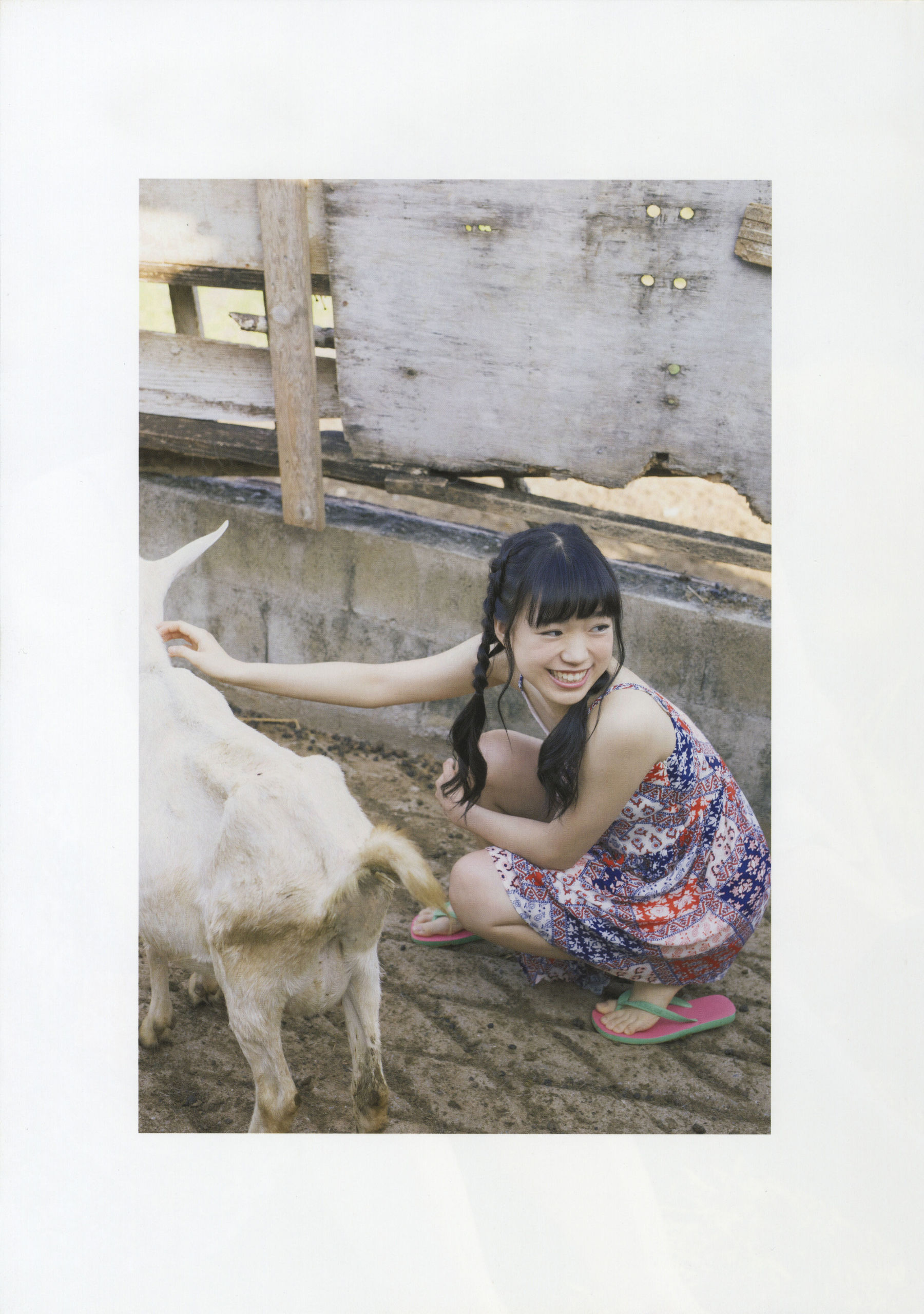 チームしゃちほこ 《SYACHI TRIP》 [PhotoBook]