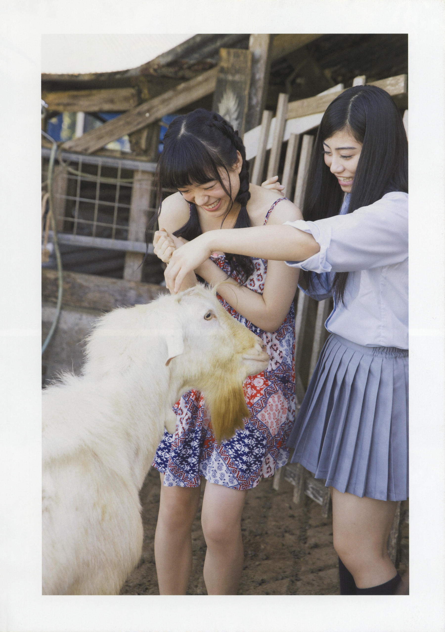 チームしゃちほこ 《SYACHI TRIP》 [PhotoBook]