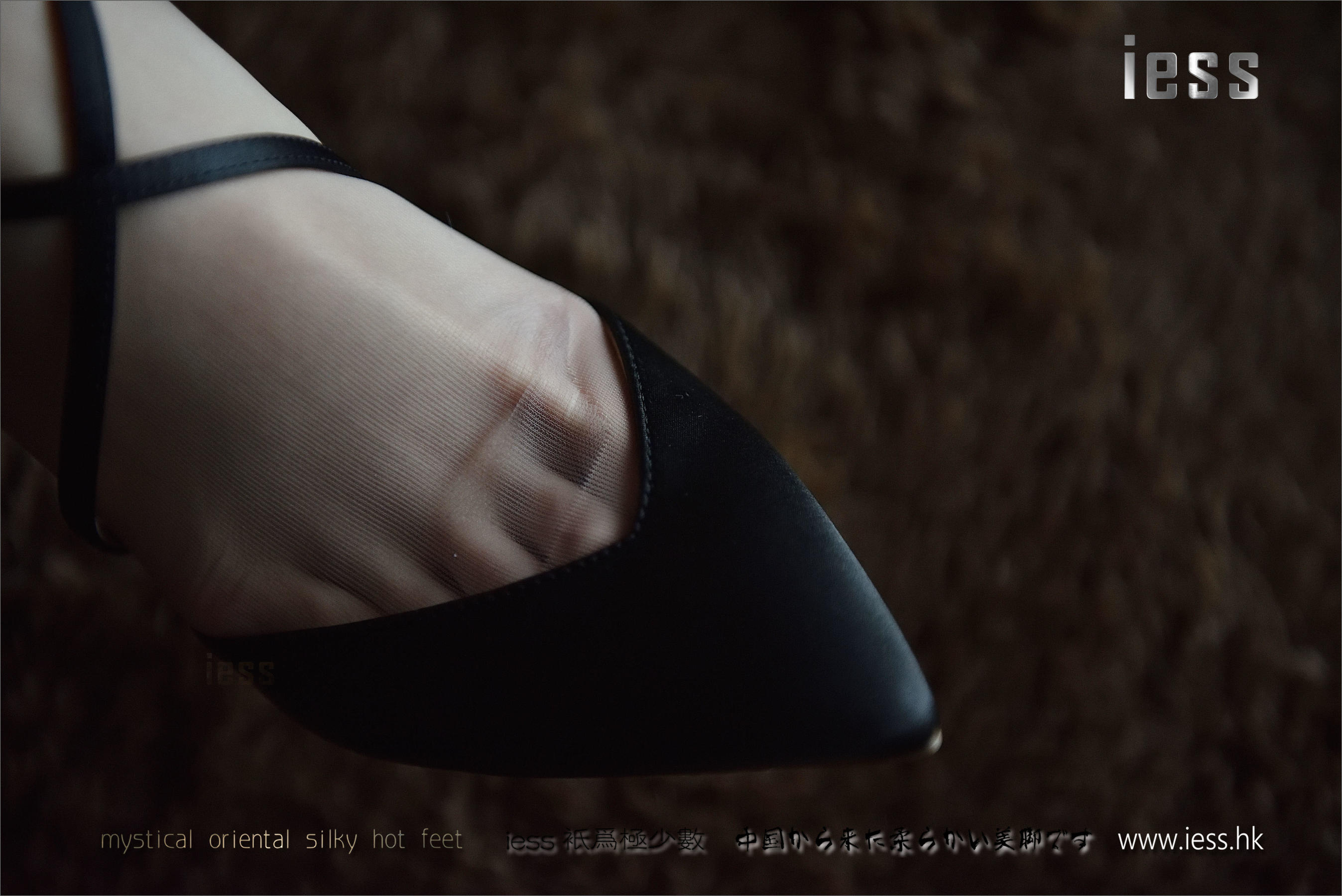 丝足便当085 公子 《公子与她的丝袜实验室》[IESS异思趣向]