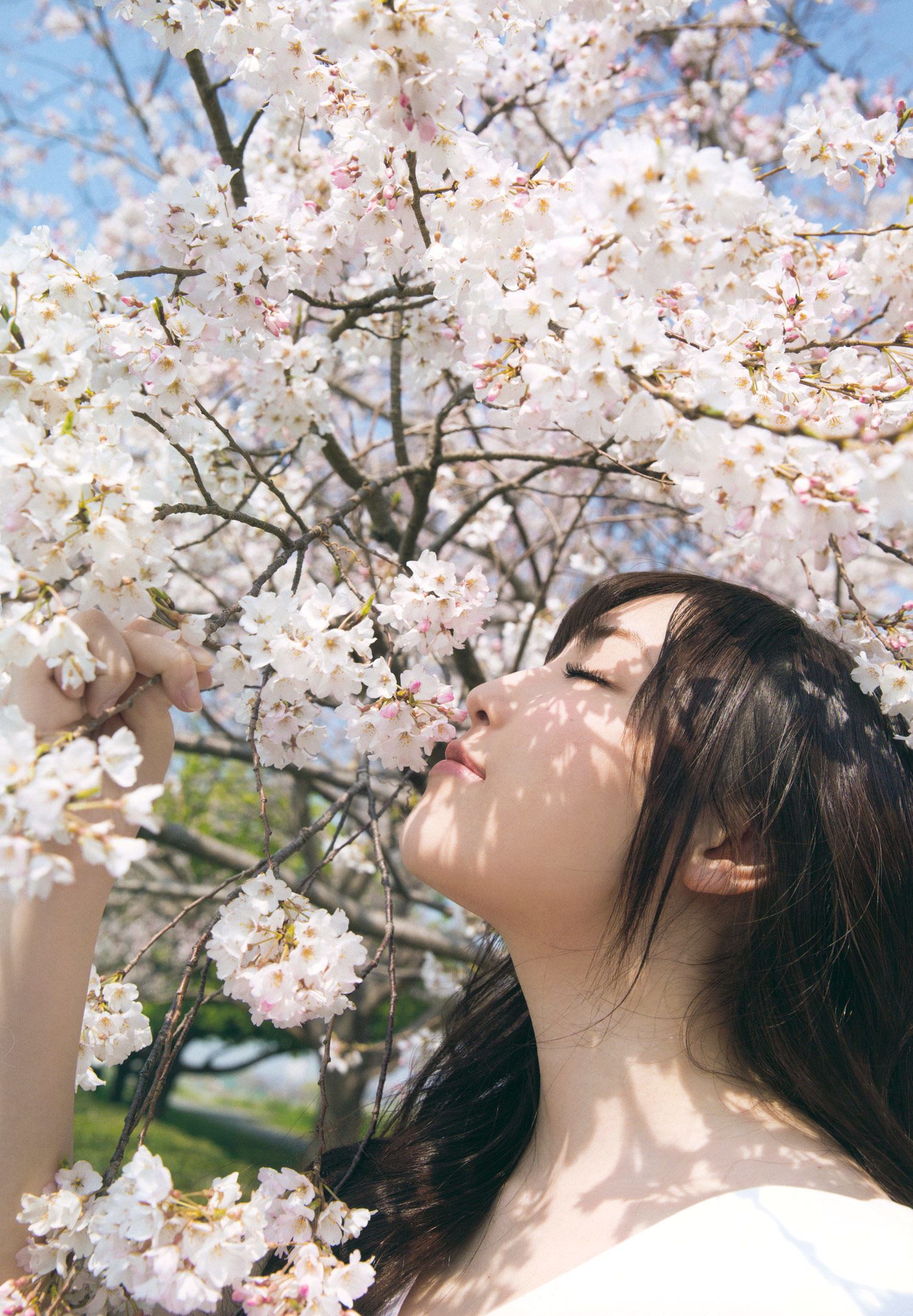 モーニング娘。 17 譜久村聖 《二十歳》 [PhotoBook]