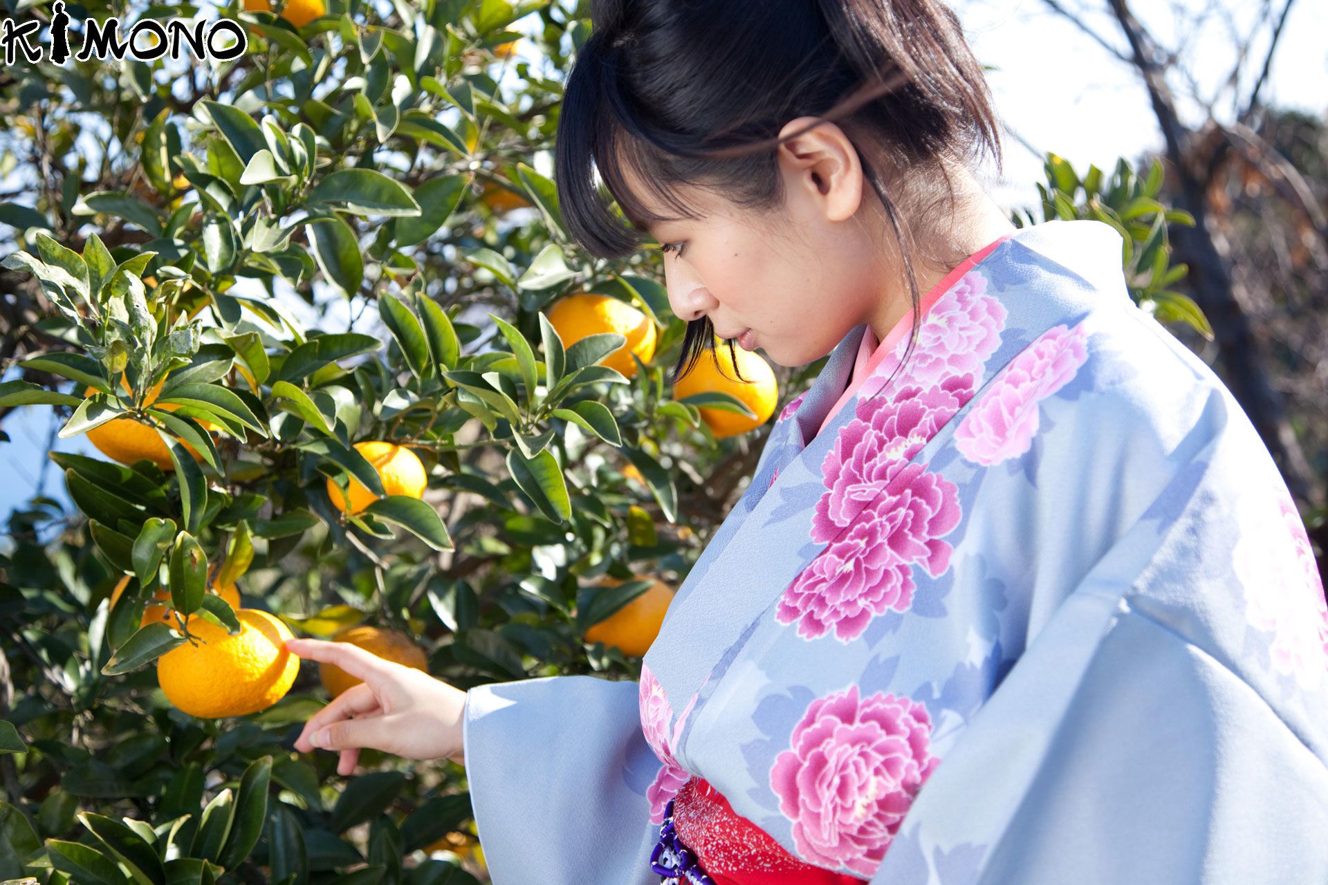 [X-City] KIMONO和テイスト 033 春菜はな Hana Haruna