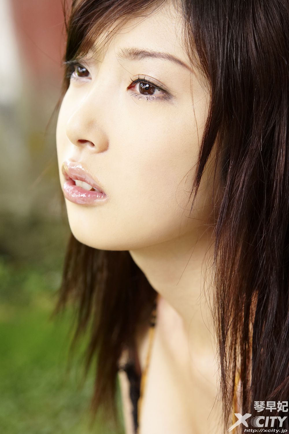 [X-City] WEB No.066 琴早妃《STARRY》