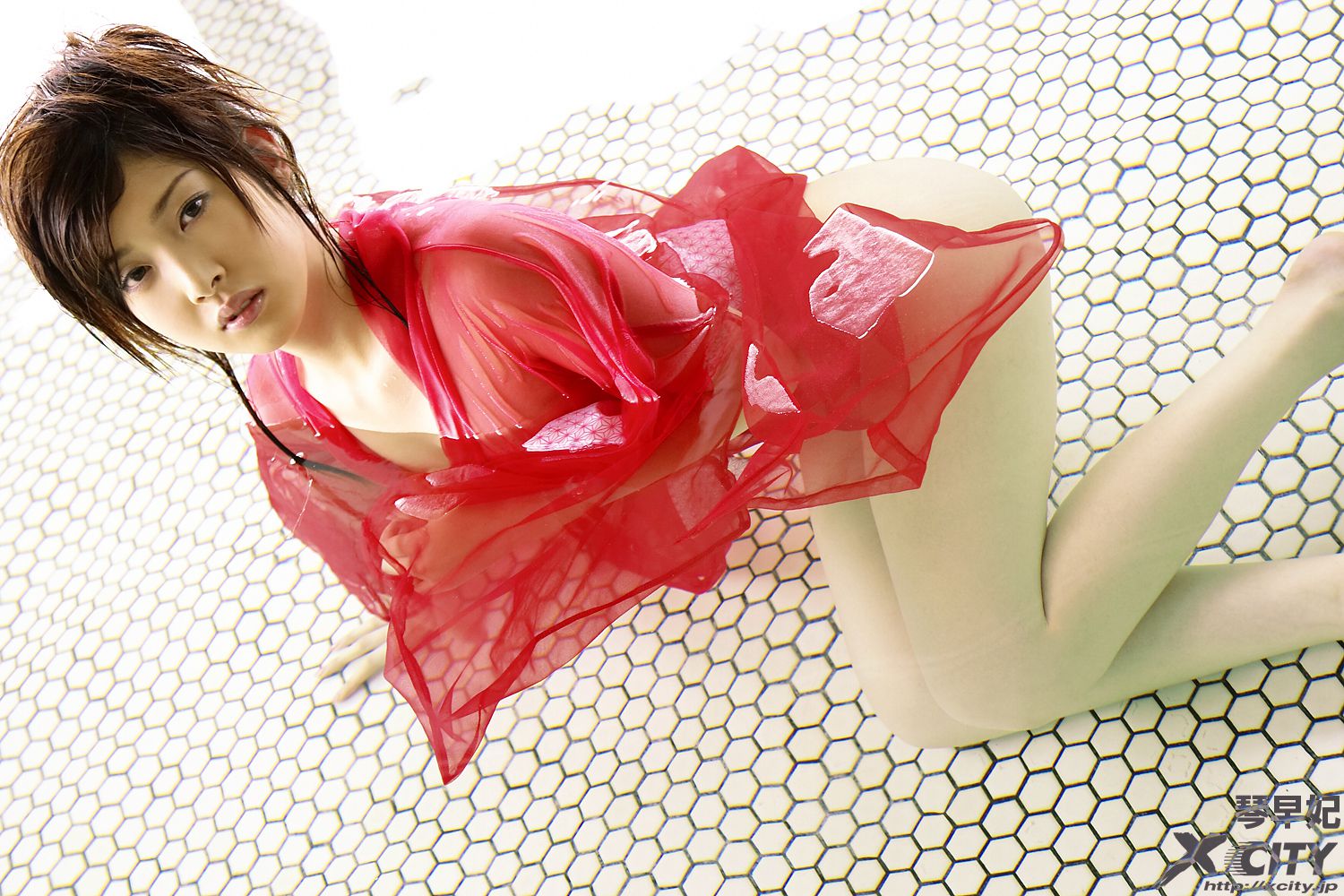 [X-City] WEB No.066 琴早妃《STARRY》