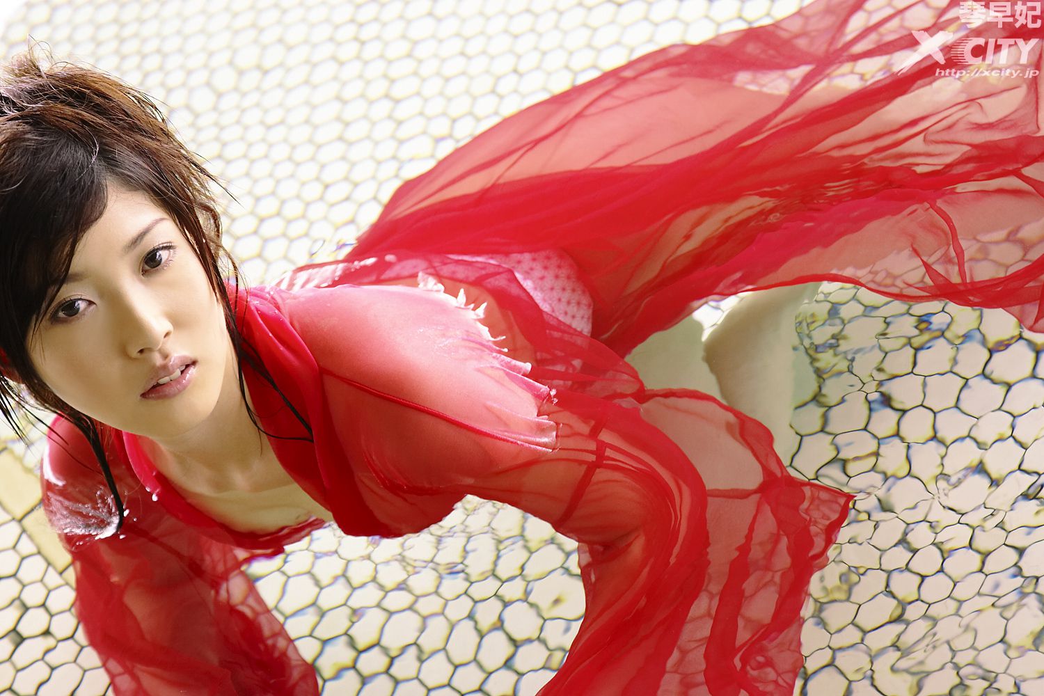 [X-City] WEB No.066 琴早妃《STARRY》