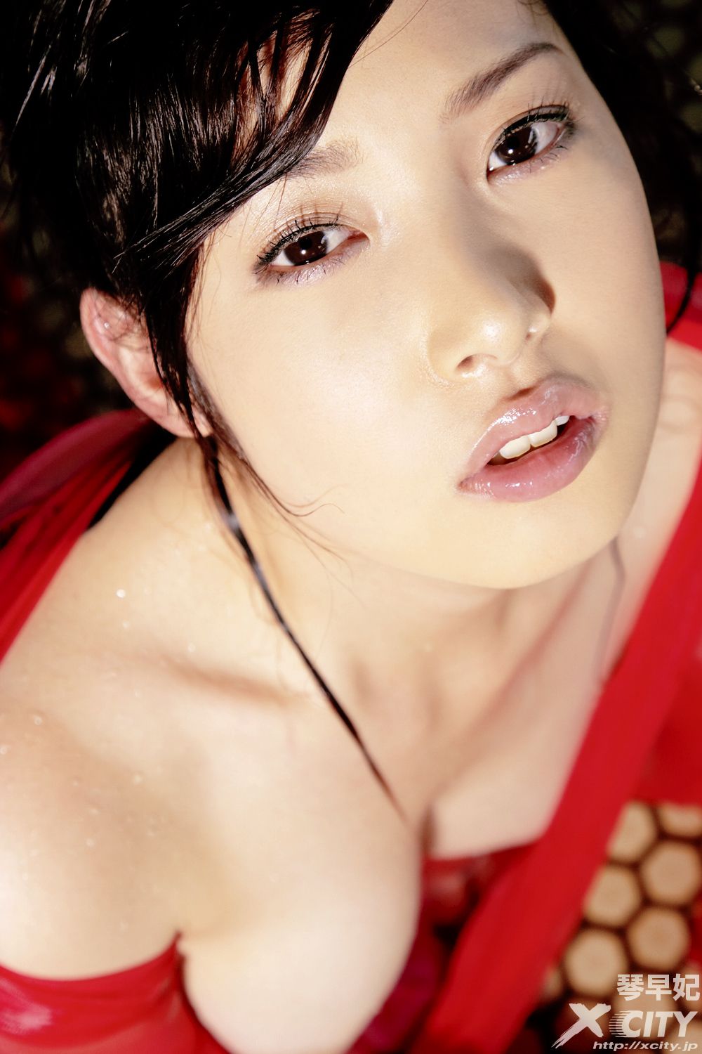 [X-City] WEB No.066 琴早妃《STARRY》