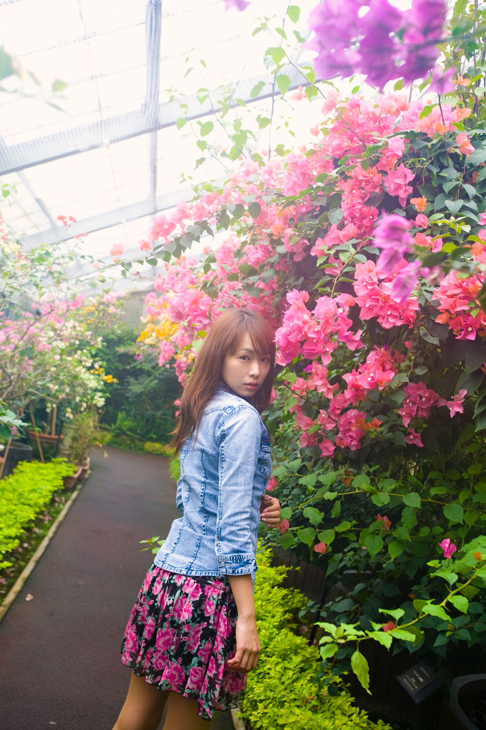 [X-City] WEB No.107 亜希菜《ひみつメモリー》