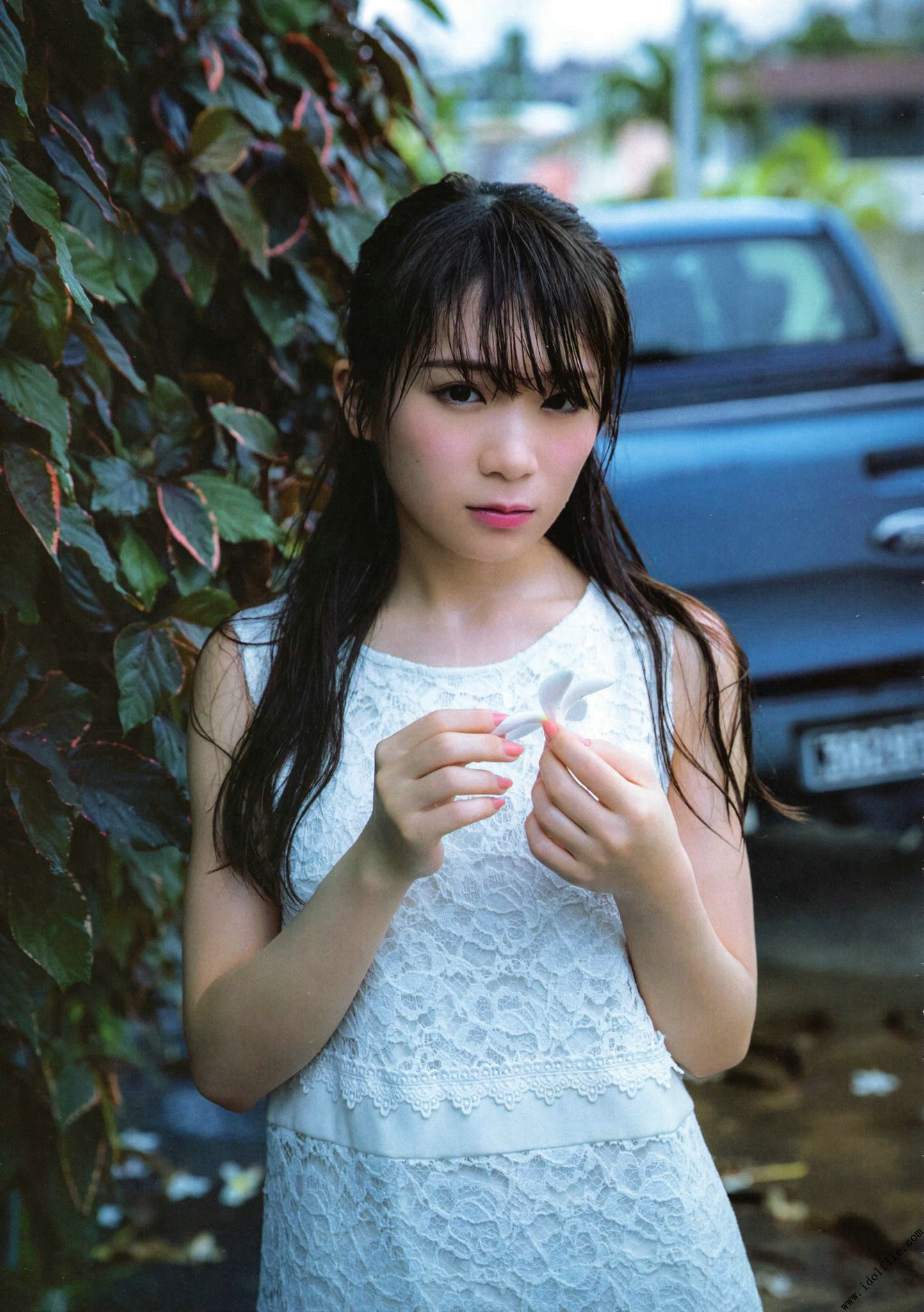 秋元真夏 1st《真夏の気圧配置》 [PhotoBook]