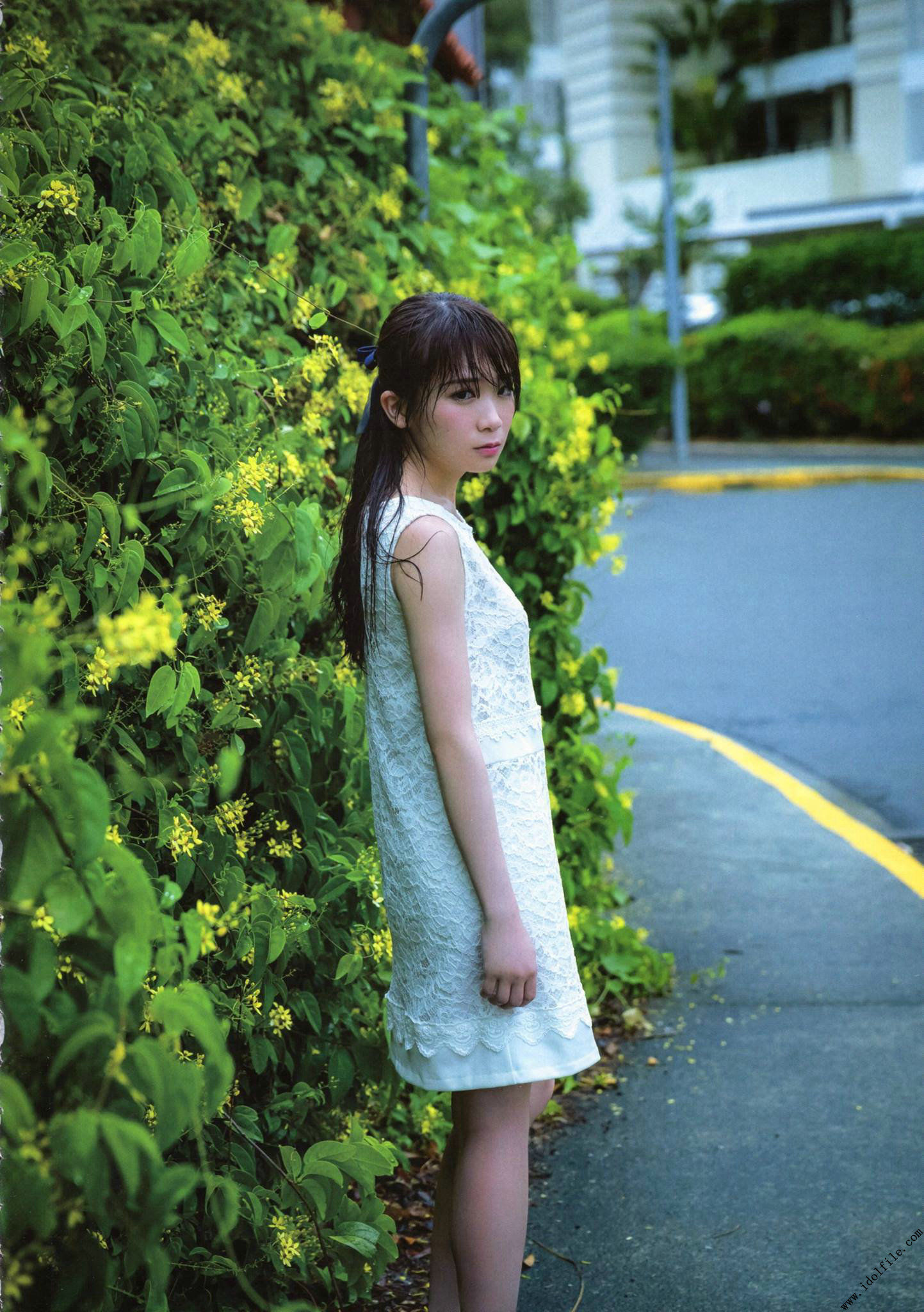 秋元真夏 1st《真夏の気圧配置》 [PhotoBook]