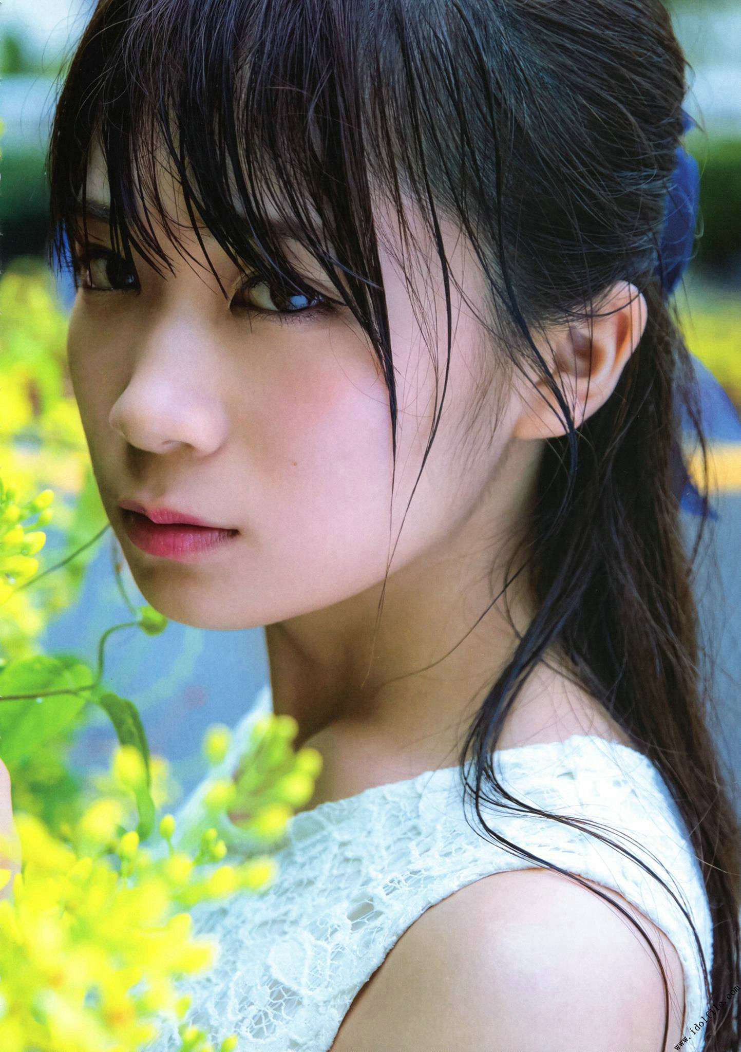 秋元真夏 1st《真夏の気圧配置》 [PhotoBook]
