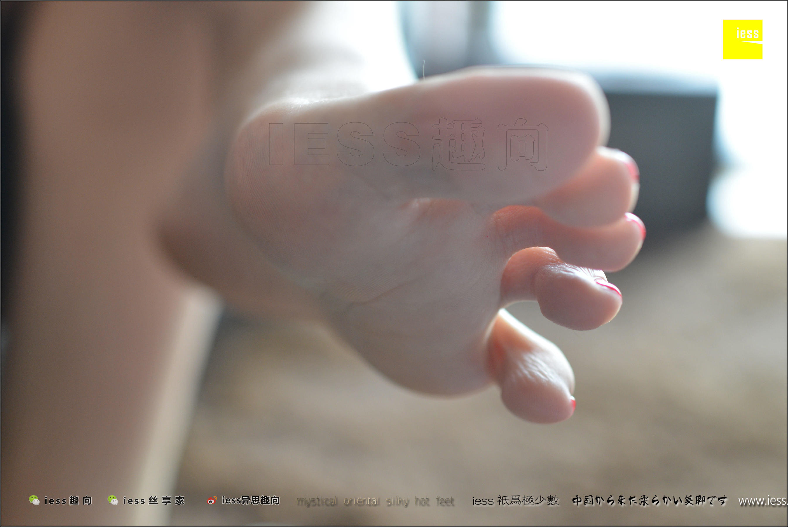 人妻芳芳《美足人妻的思念》[异思趣向IESS] 丝足便当201