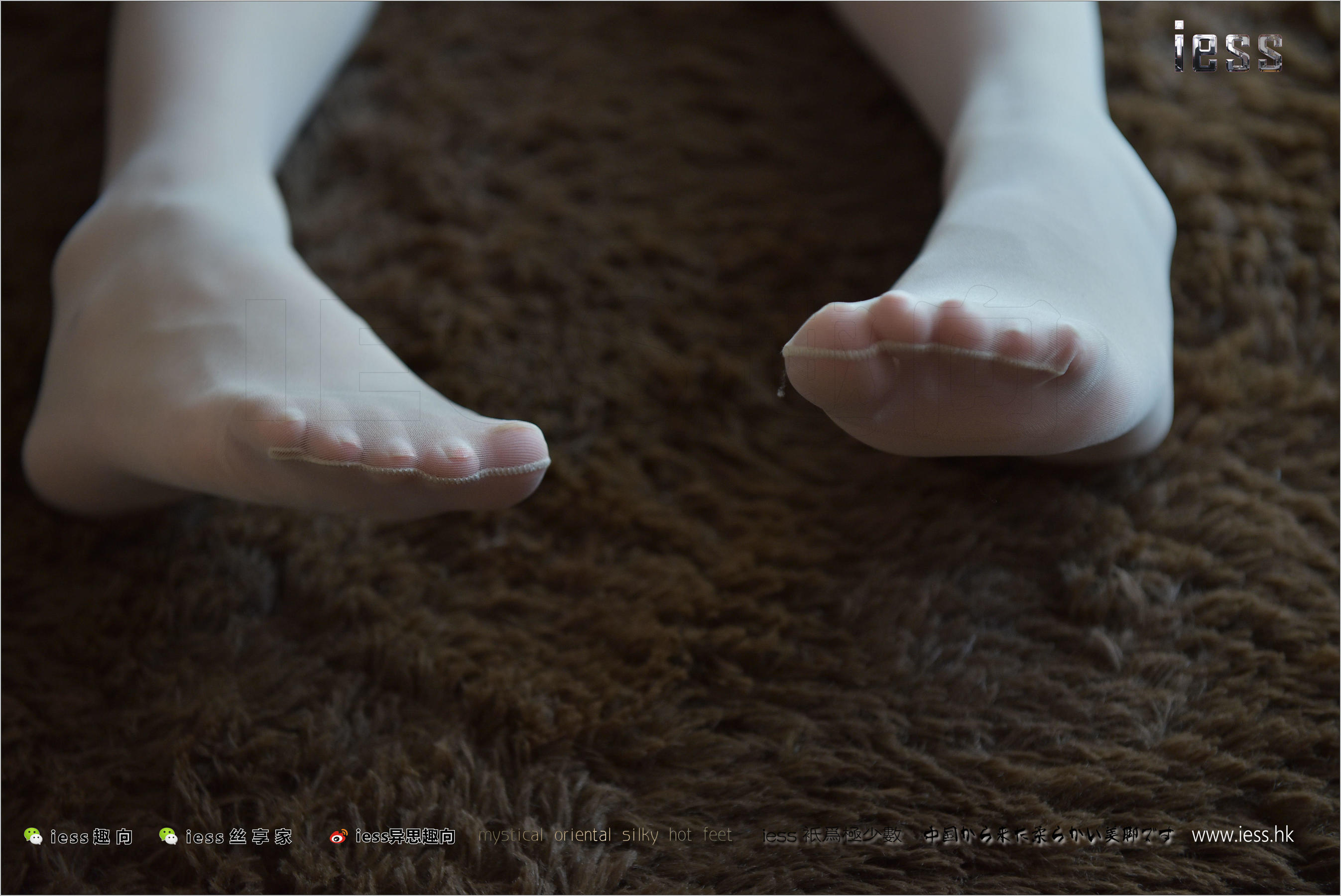 宛平《舅舅家的女仆2》[异思趣向IESS] 丝足便当203