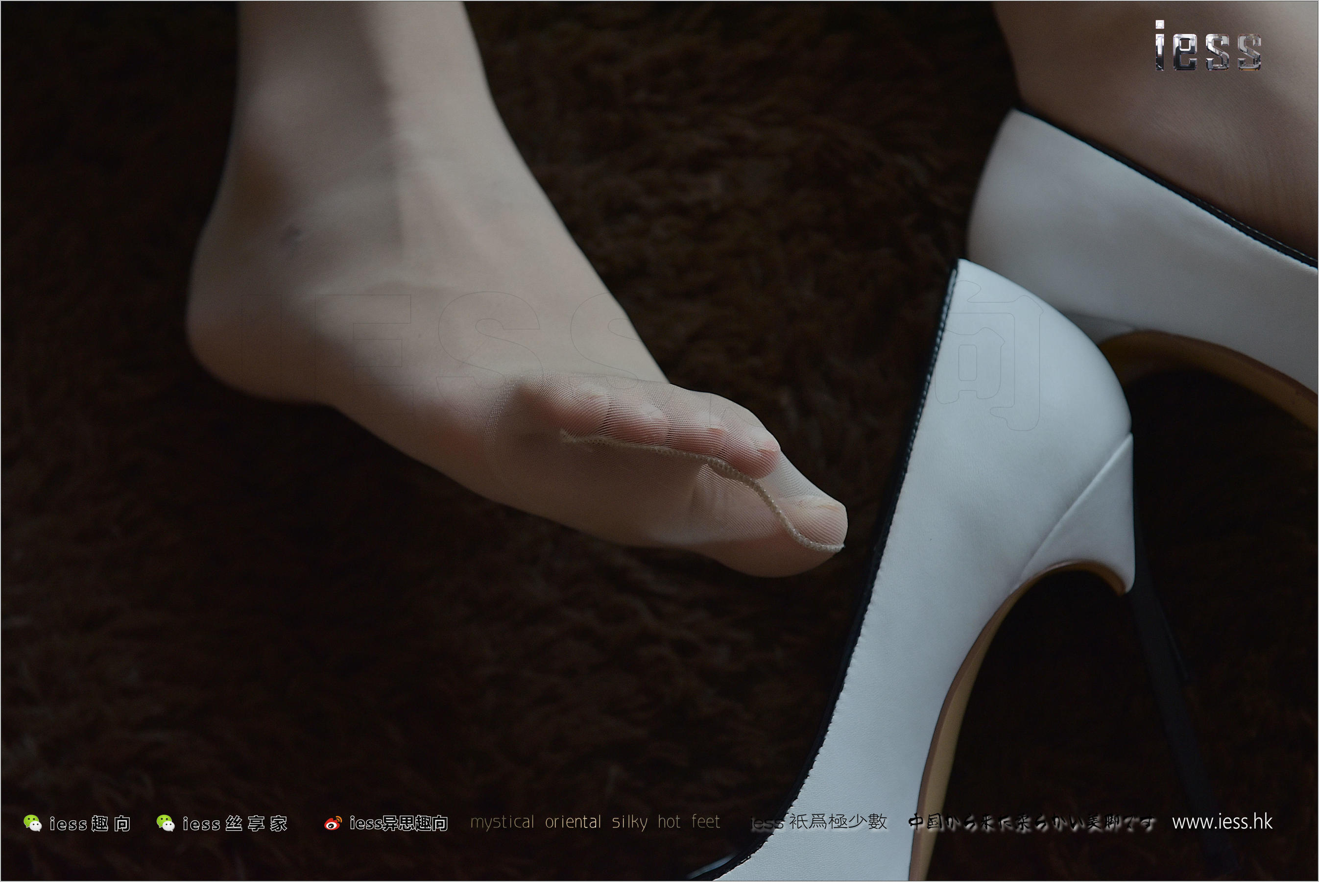 宛平《舅舅家的女仆2》[异思趣向IESS] 丝足便当203