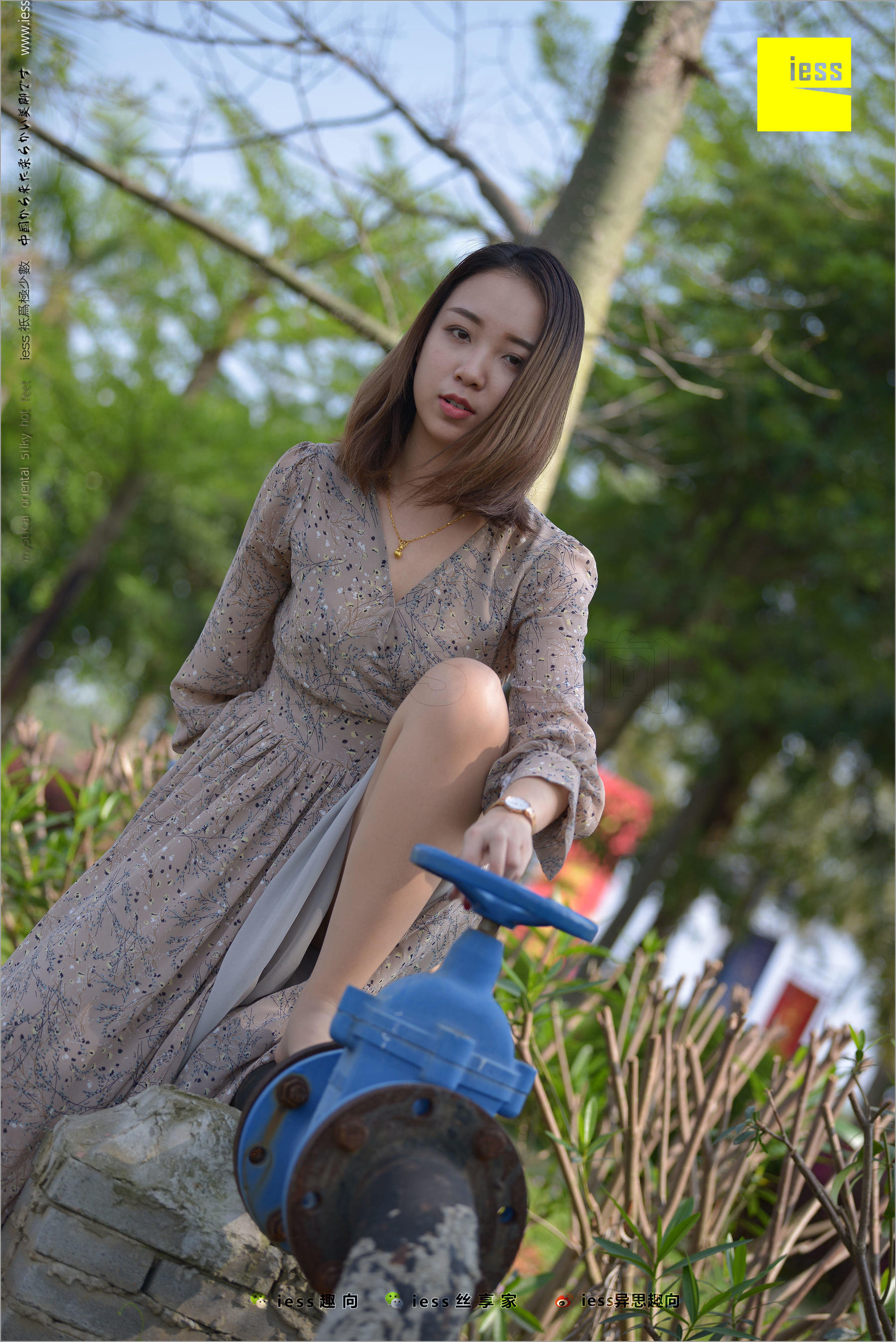 馨月《足鉴》 [异思趣向IESS] 丝足便当215