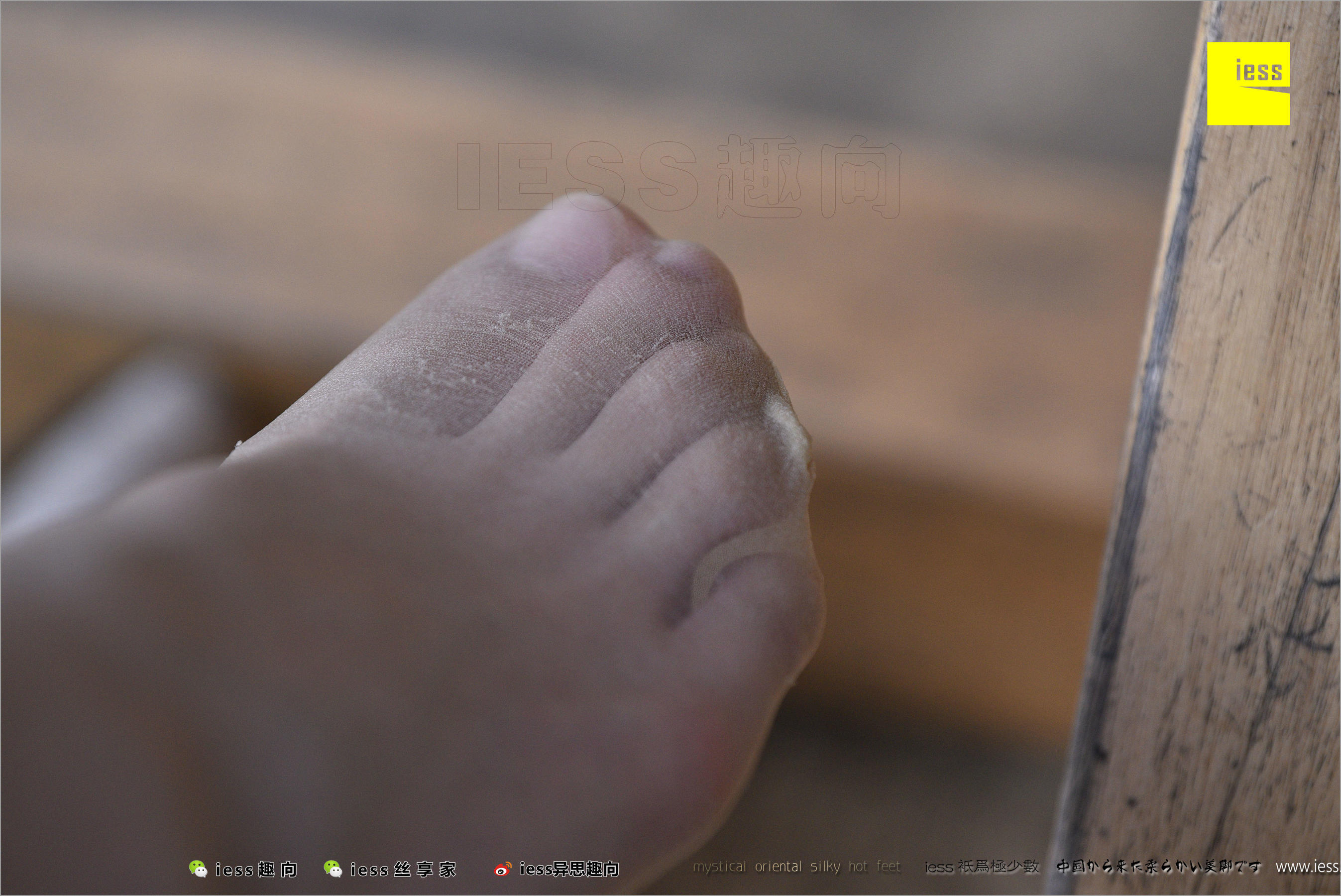 暖暖《长丝和10片天然粉红的花瓣》 [异思趣向IESS] 丝足便当217