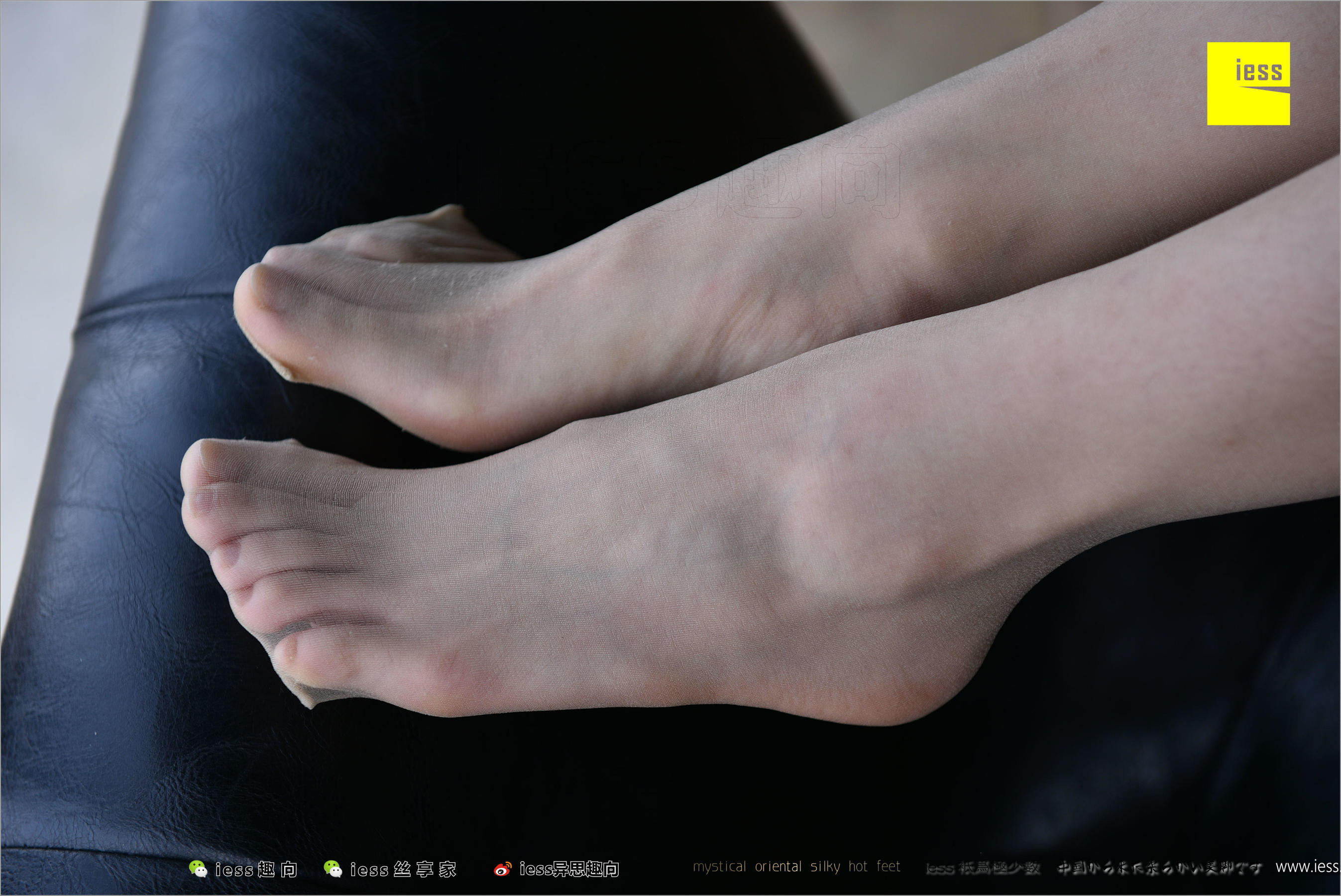 暖暖《长丝和10片天然粉红的花瓣》 [异思趣向IESS] 丝足便当217