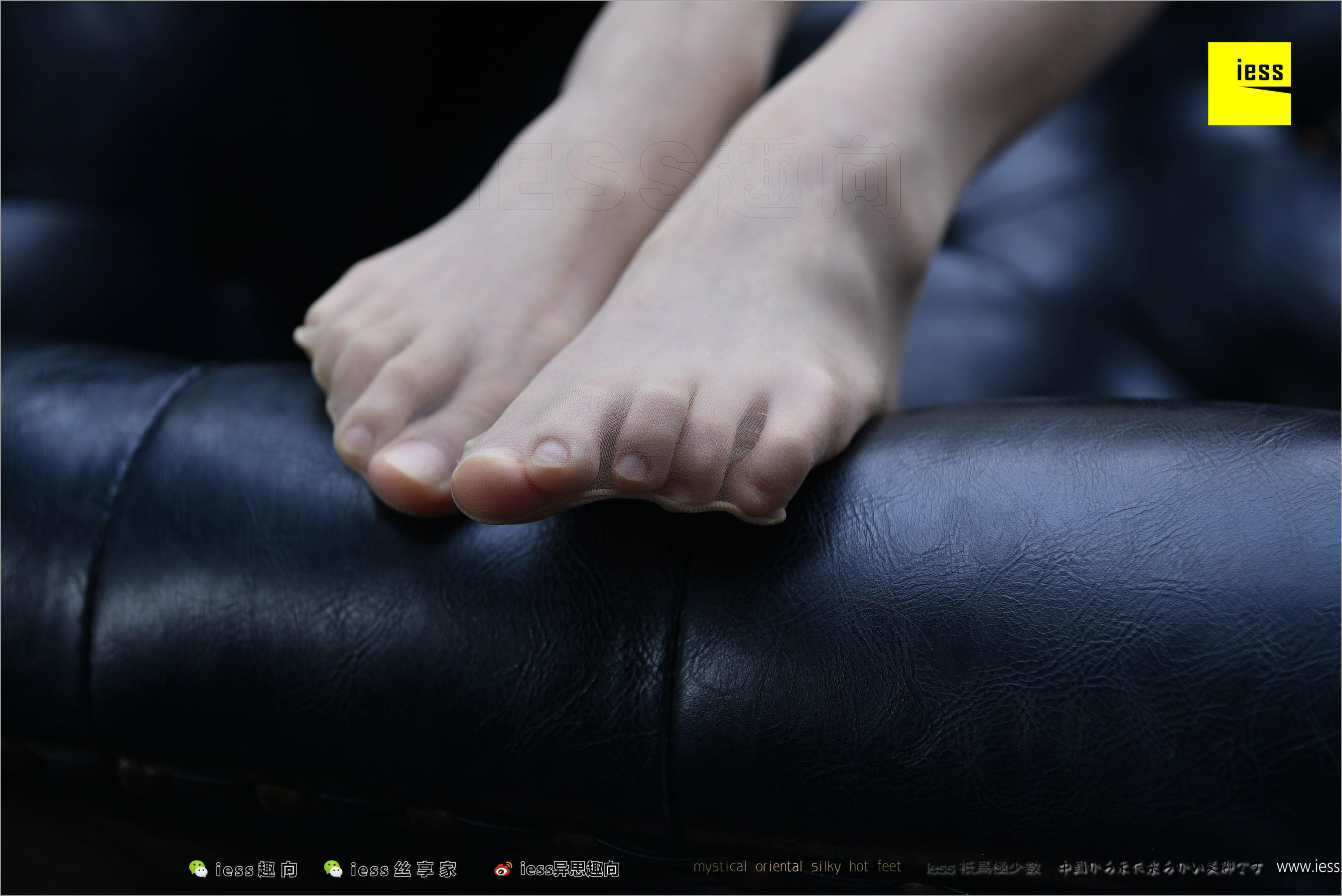 暖暖《长丝和10片天然粉红的花瓣》 [异思趣向IESS] 丝足便当217