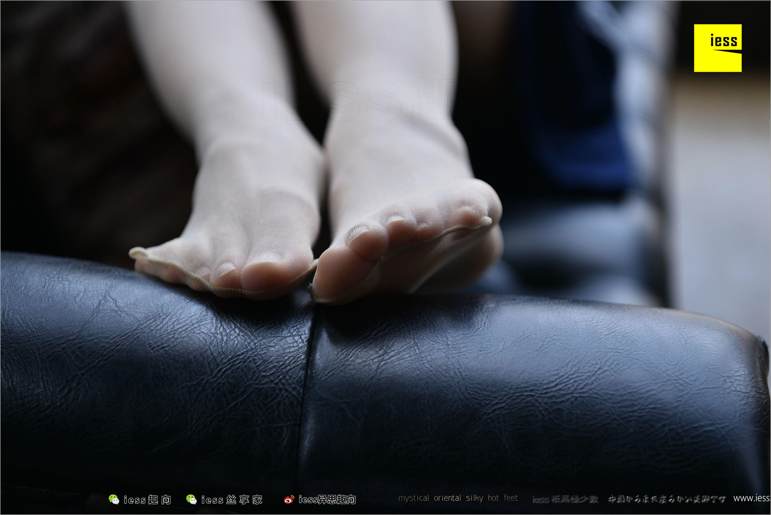 暖暖《长丝和10片天然粉红的花瓣》 [异思趣向IESS] 丝足便当217