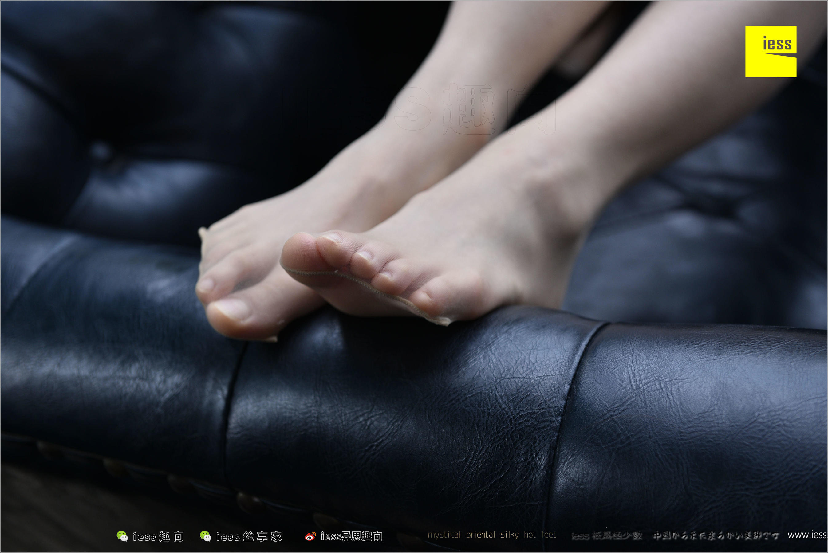暖暖《长丝和10片天然粉红的花瓣》 [异思趣向IESS] 丝足便当217