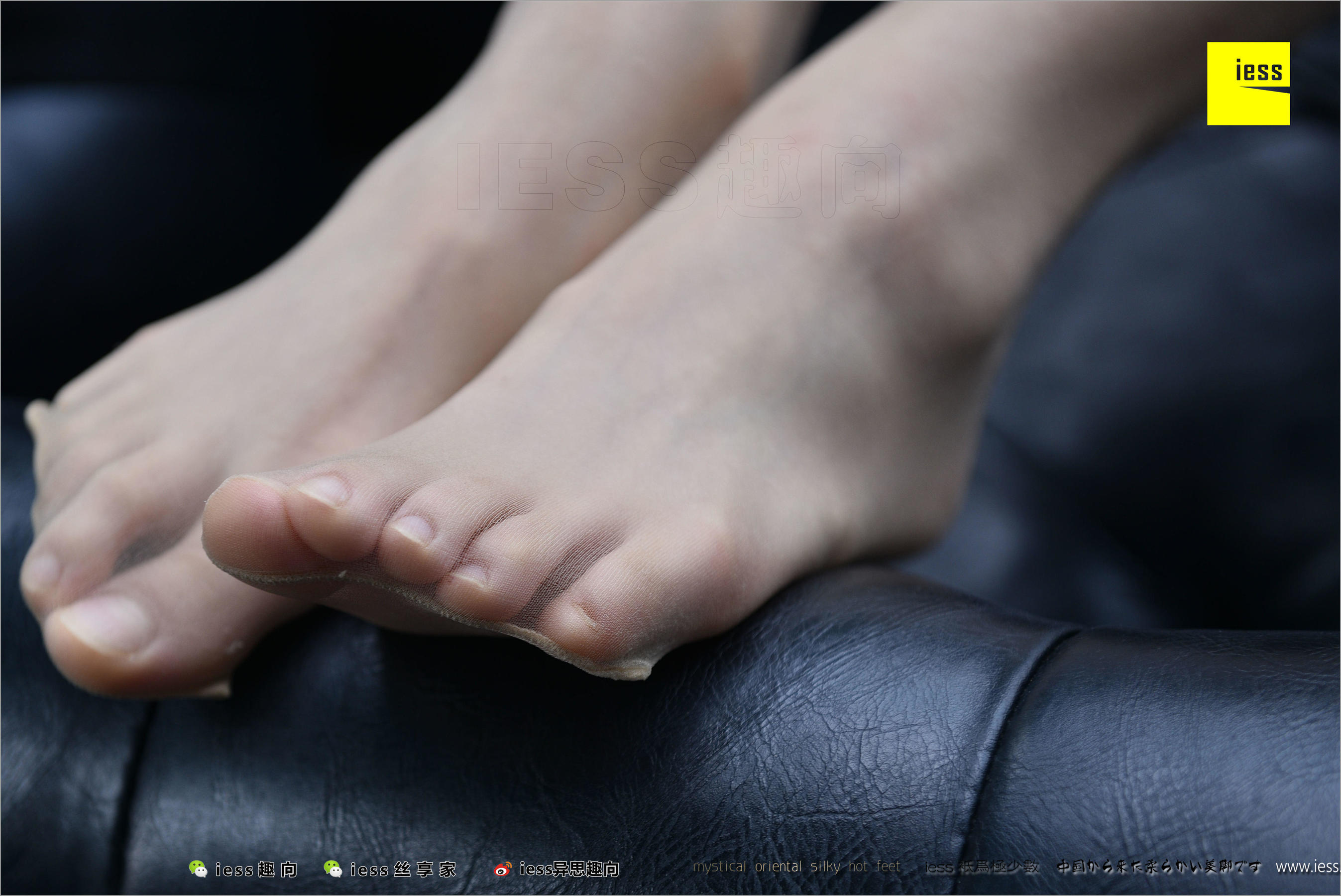 暖暖《长丝和10片天然粉红的花瓣》 [异思趣向IESS] 丝足便当217