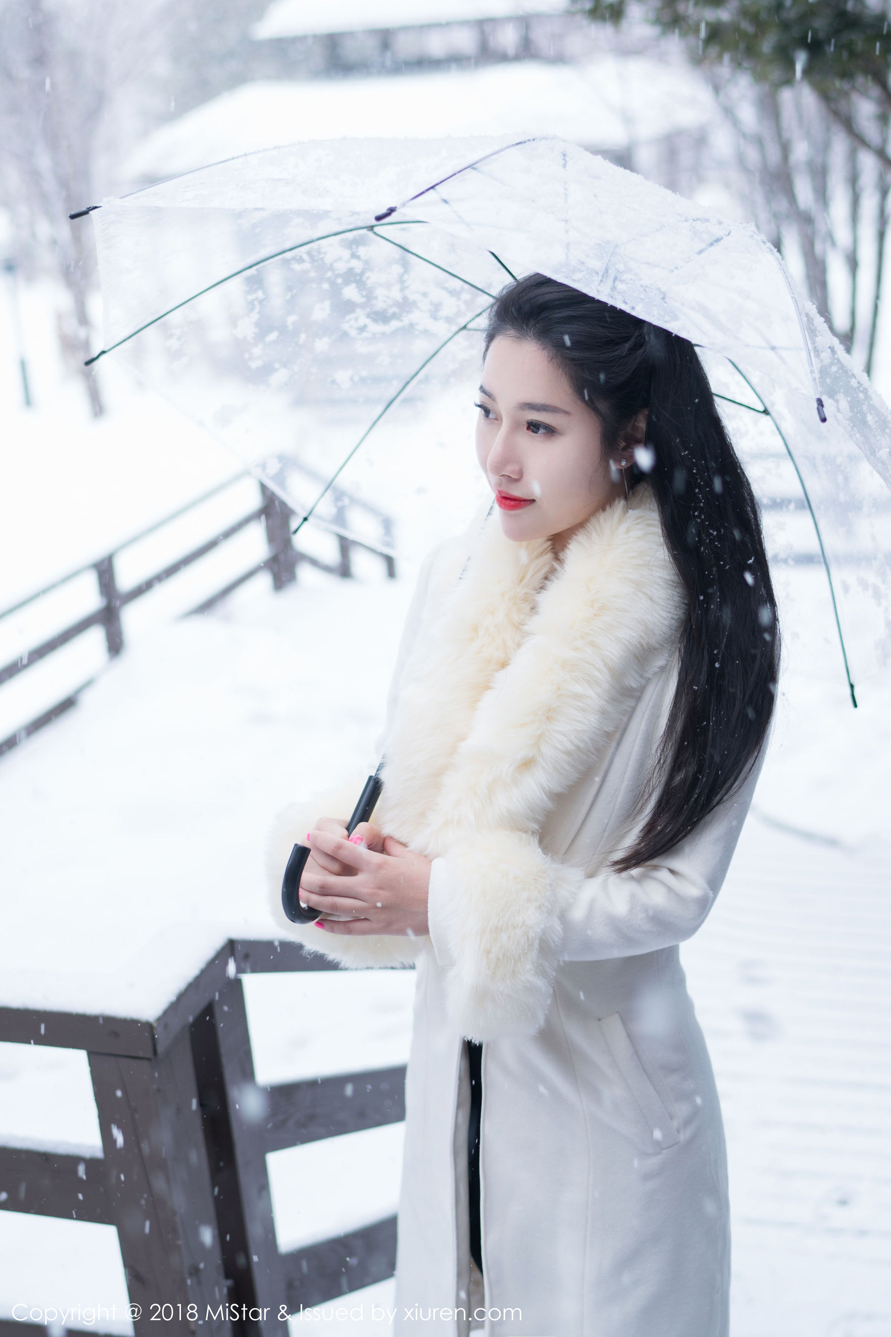 陈嘉嘉Tiffany《雪中有佳人+性感肚兜》 [魅妍社MiStar] VOL.216