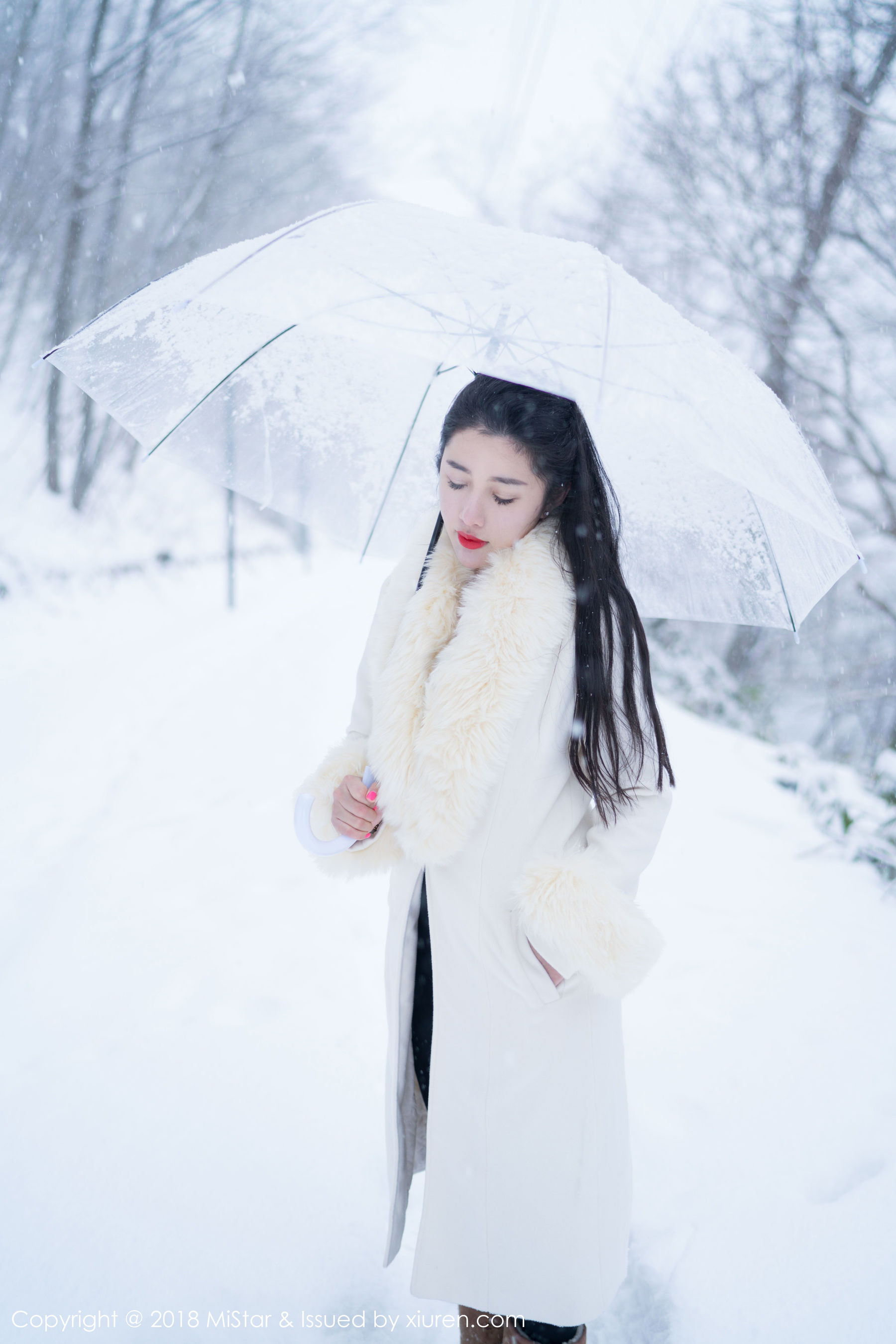陈嘉嘉Tiffany《雪中有佳人+性感肚兜》 [魅妍社MiStar] VOL.216