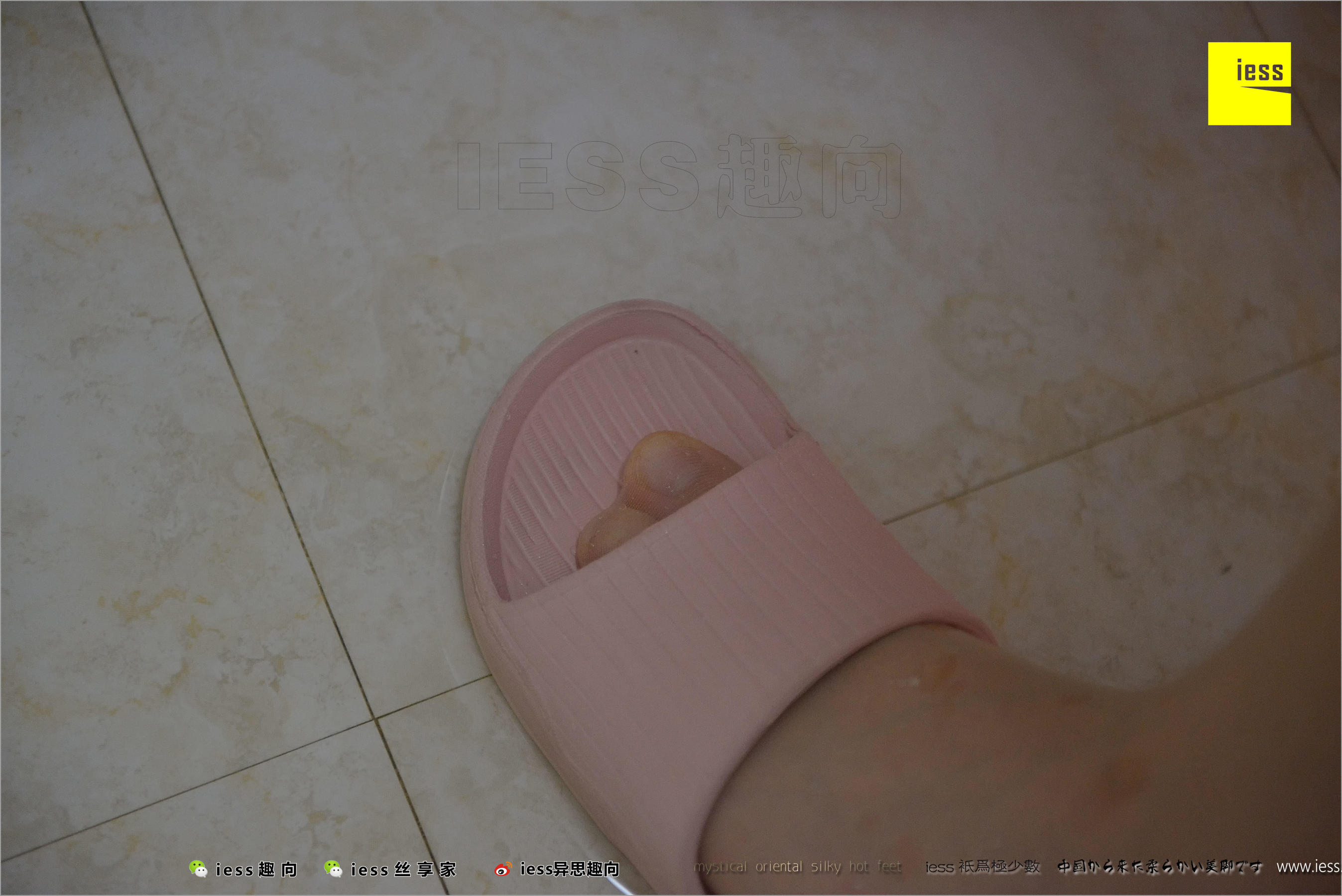 姗姗《贤惠的妻子1》 [异思趣向IESS] 丝足便当226