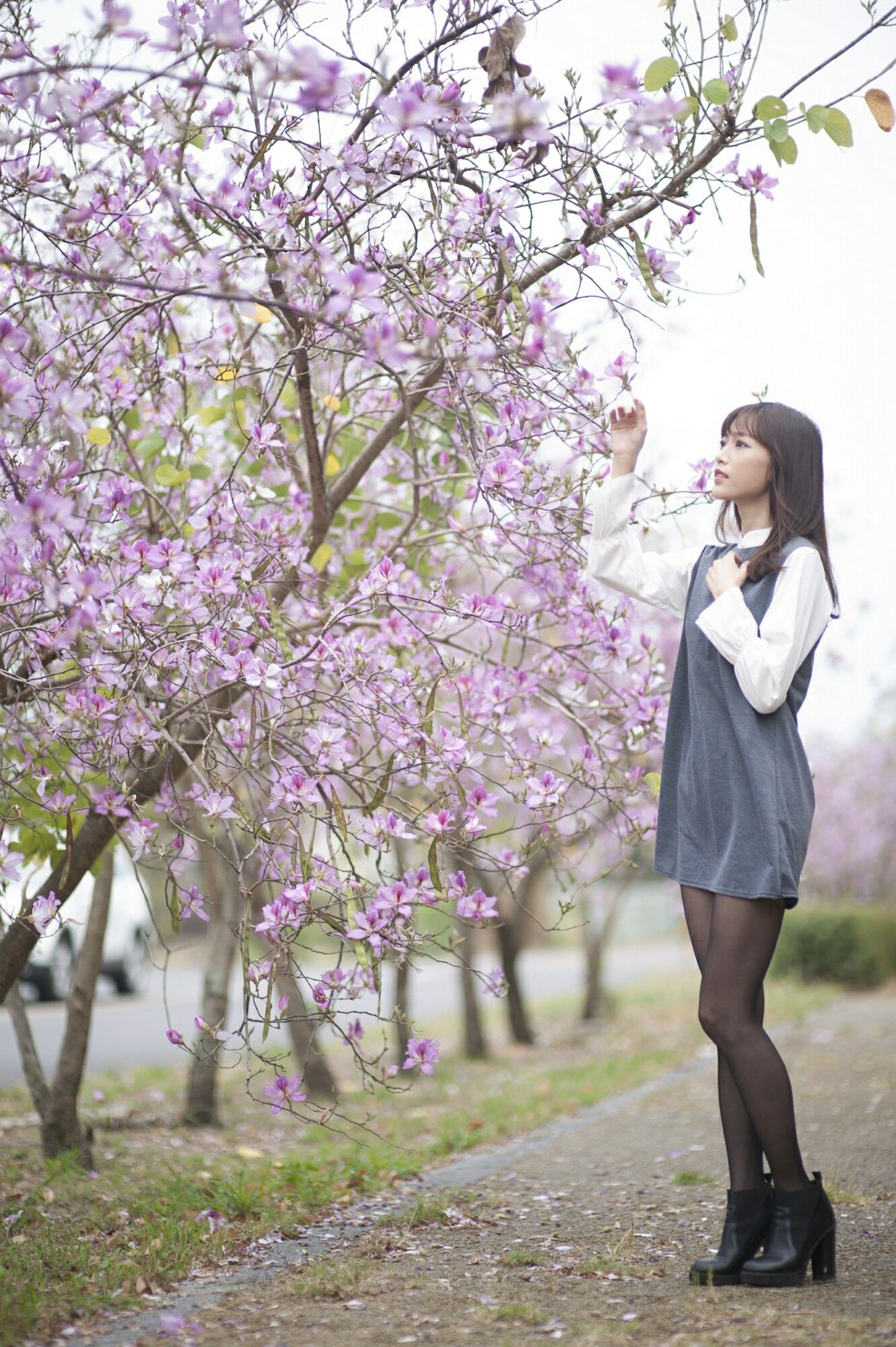 [台湾女神] 彭丽嘉(Lady憶憶)《樱花下的黑丝》