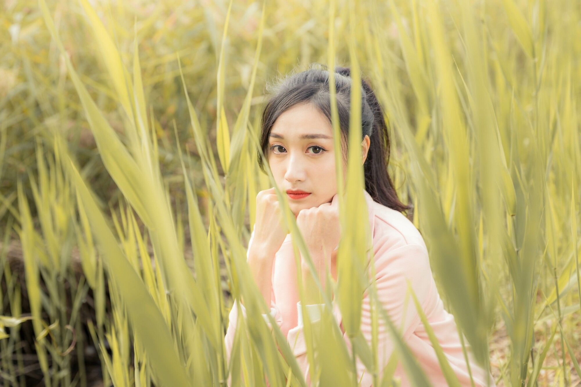 [台湾女神] 段璟乐《花博公園+部分松叶随拍》