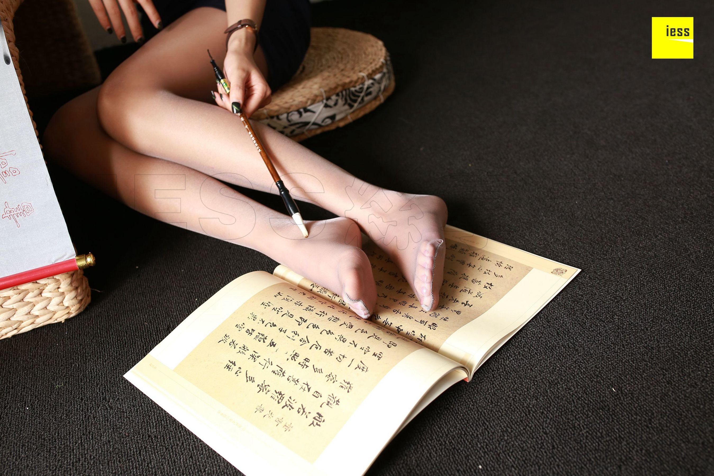 婉萍《笔情墨趣 幽幽袜香》 [异思趣向IESS] 丝享家230