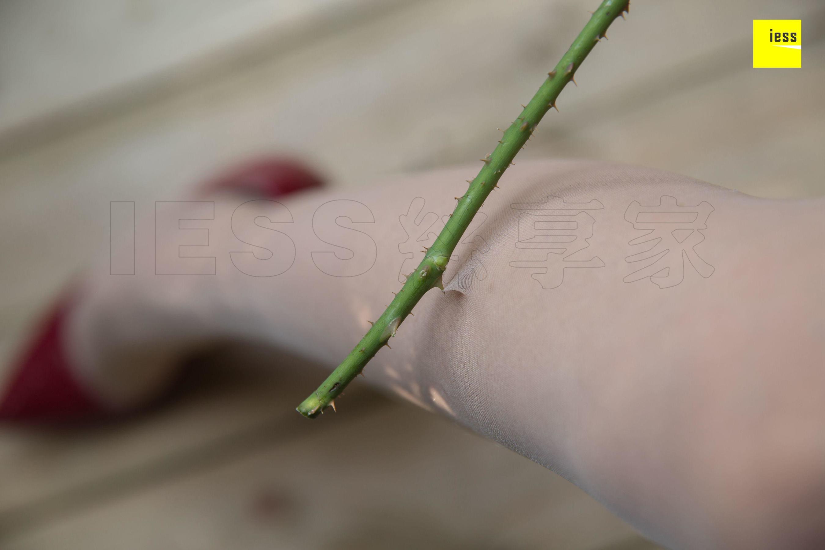 [异思趣向IESS] 《魔鬼周三》特刊30期 花艺师婉萍