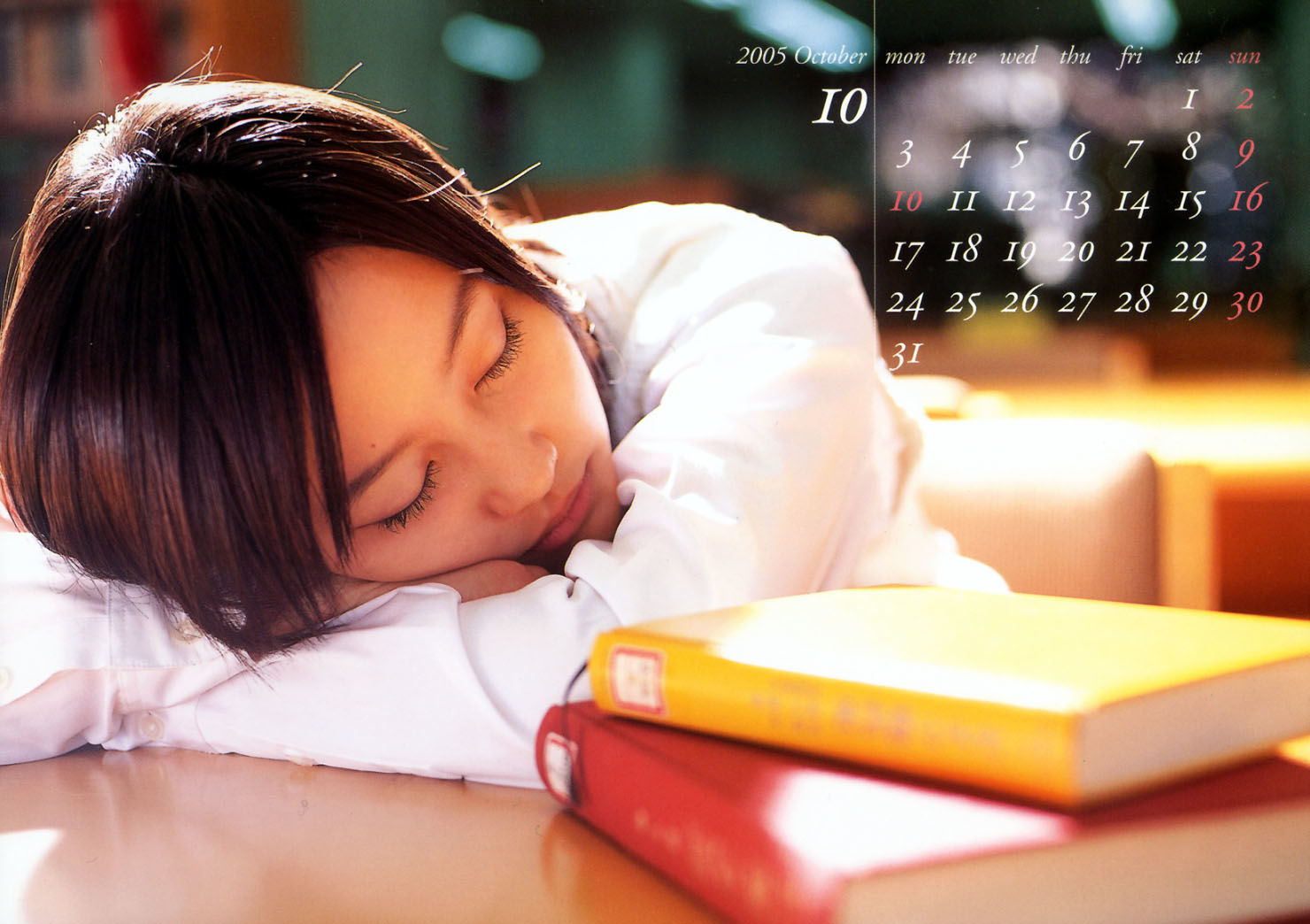堀北真希 スクールカレンダーBOOK