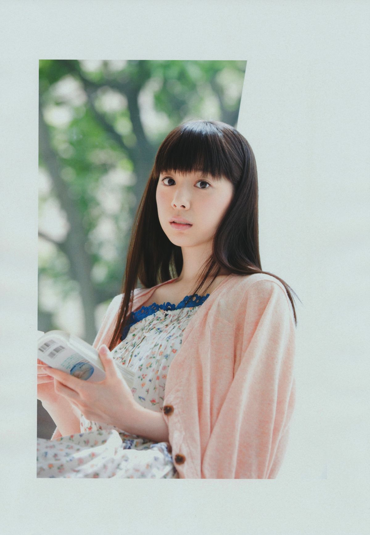 夏帆 帆風だより