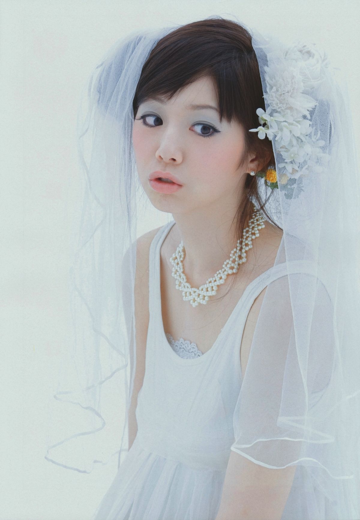 夏帆 帆風だより