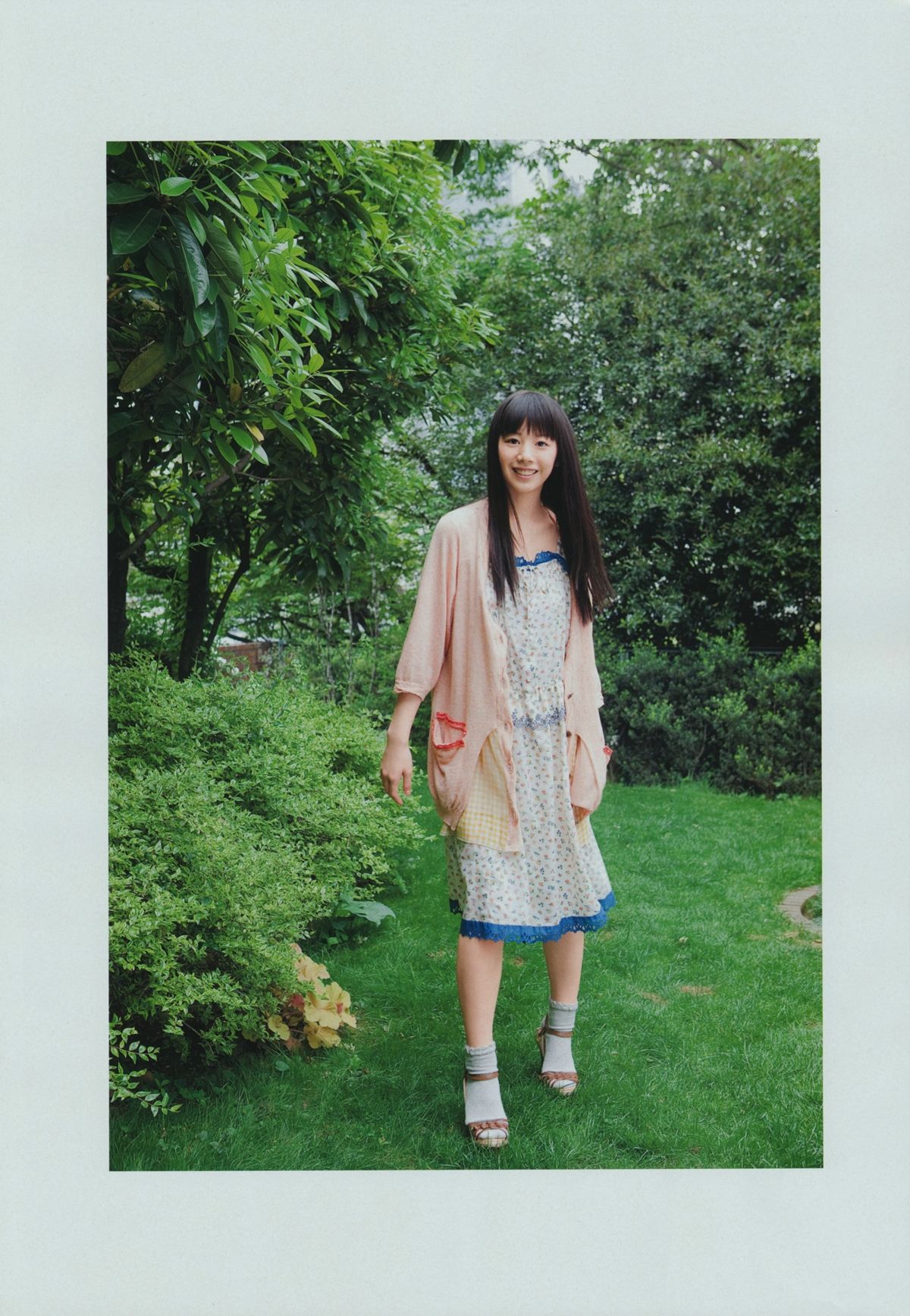 夏帆 帆風だより