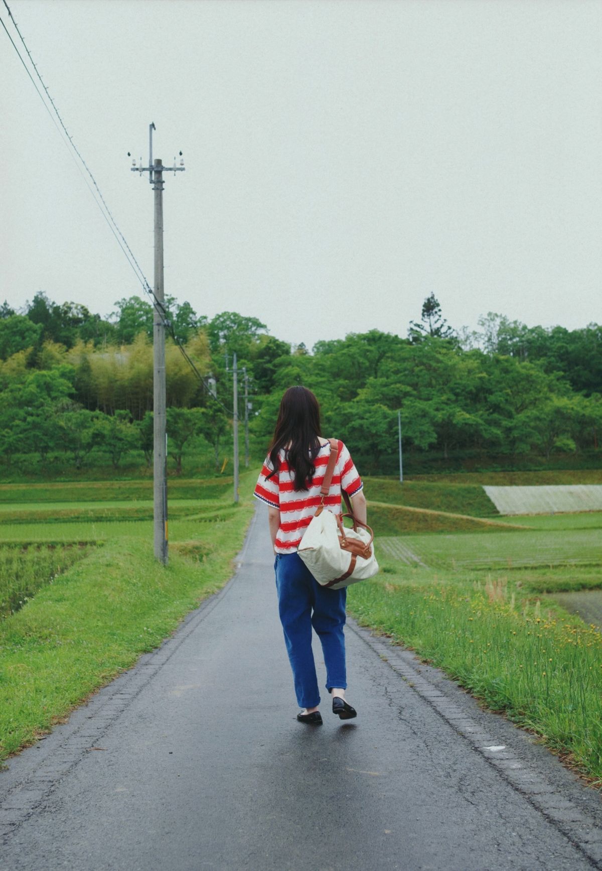 夏帆 帆風だより