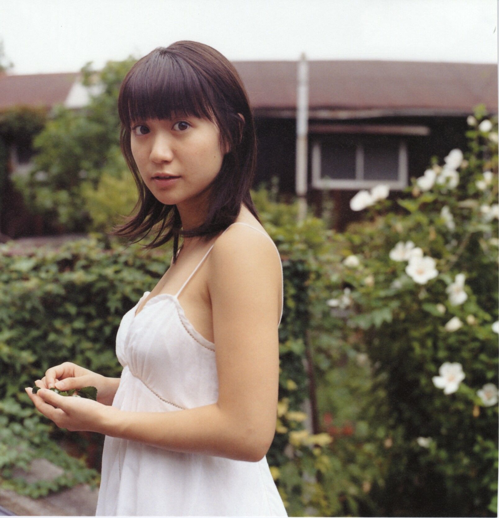 大岛优子 《ゆうらりゆうこ》