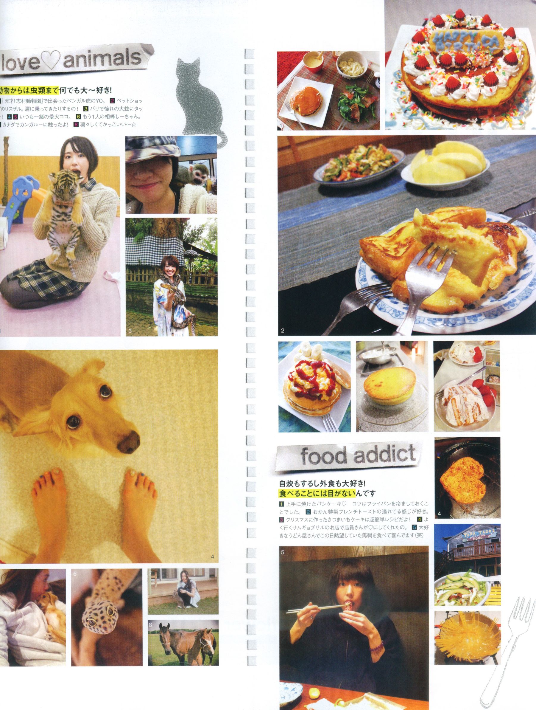 新垣结衣 Fashion Photo Magazine 2012