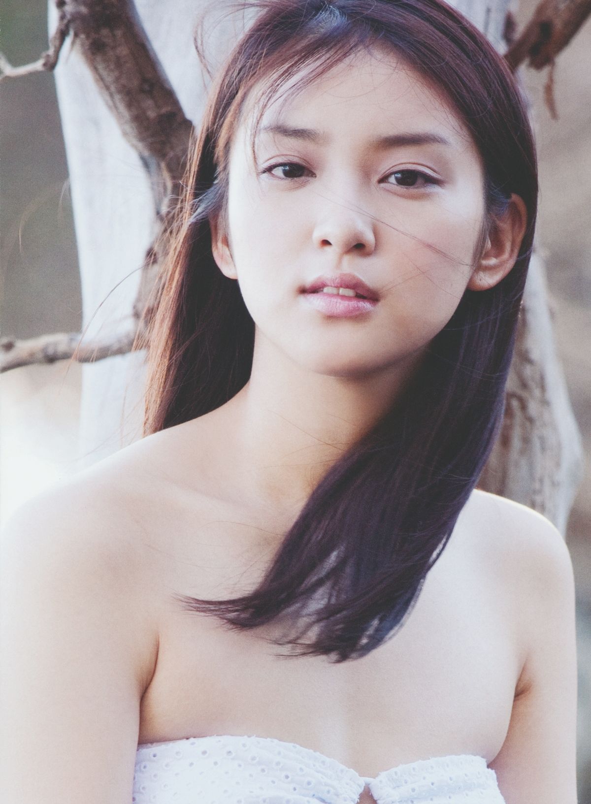 武井咲 《PLUMERIA》  摄影：桥本雅司