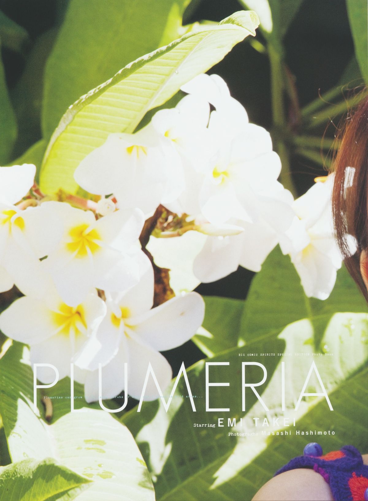 武井咲 《PLUMERIA》  摄影：桥本雅司
