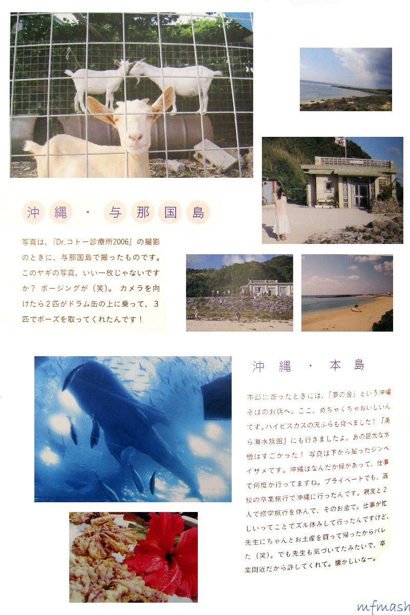 苍井优 「今日、このこ?ろ」