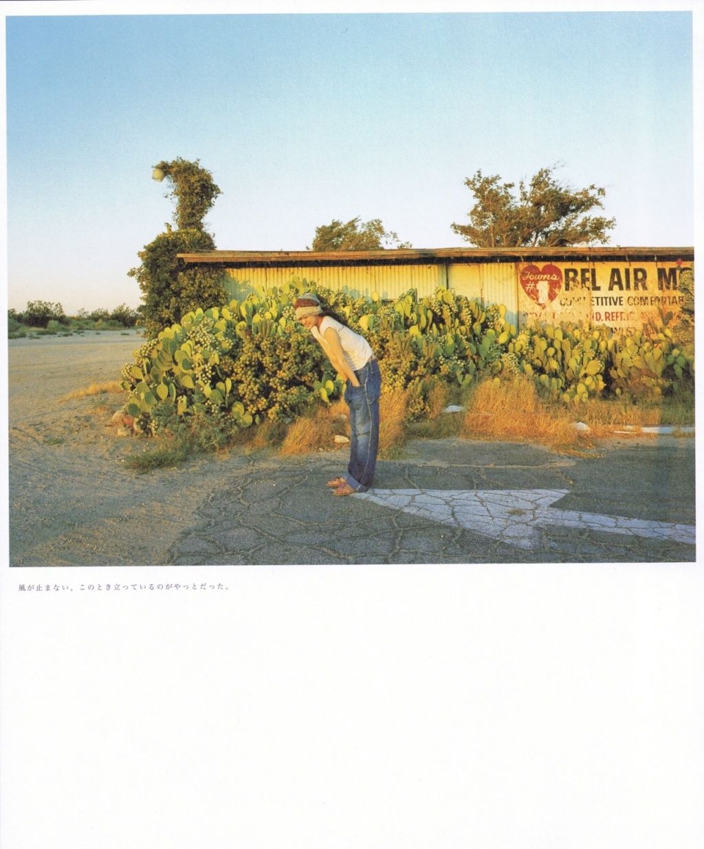 苍井优『Travel__Sand』