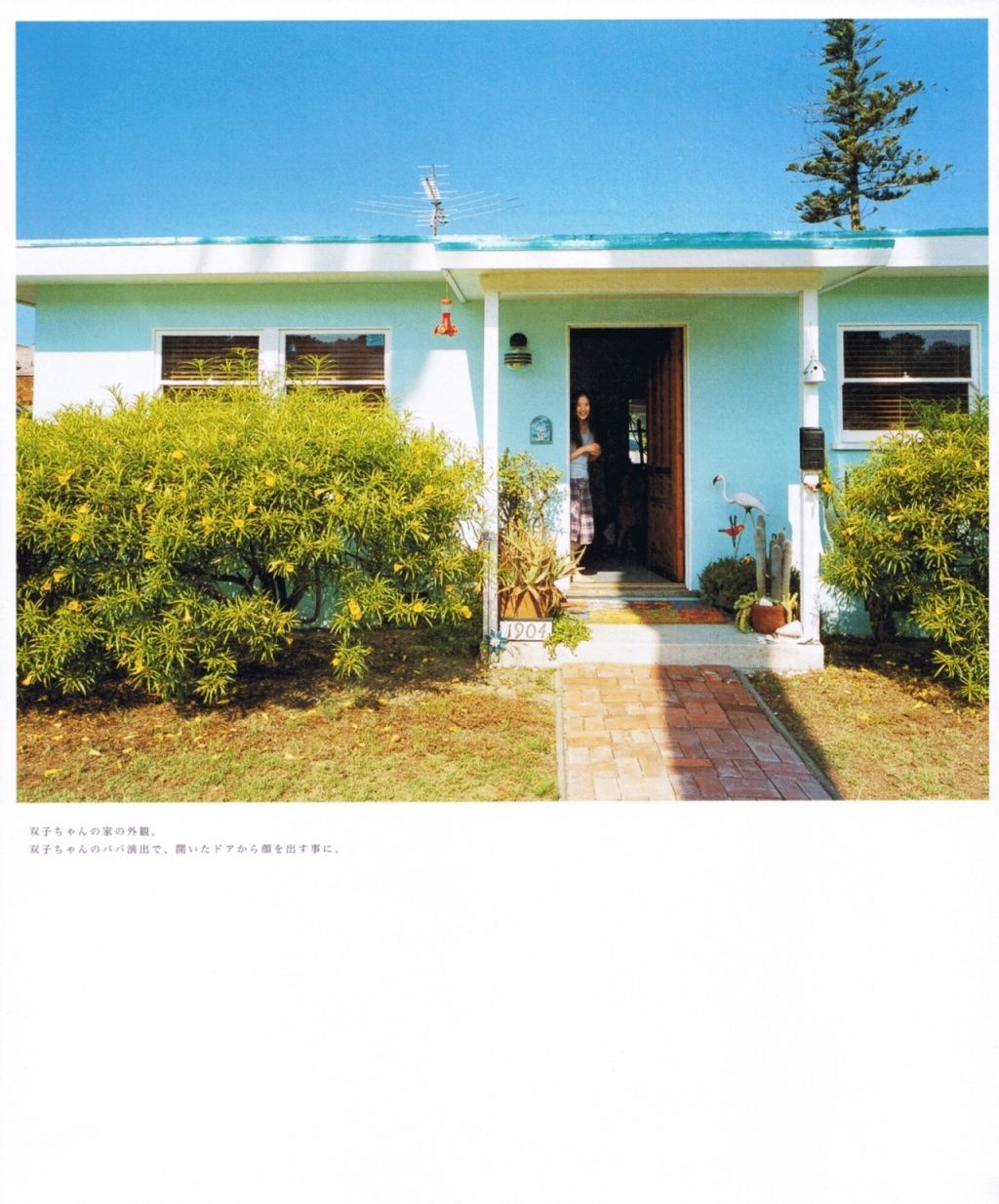 苍井优『Travel__Sand』