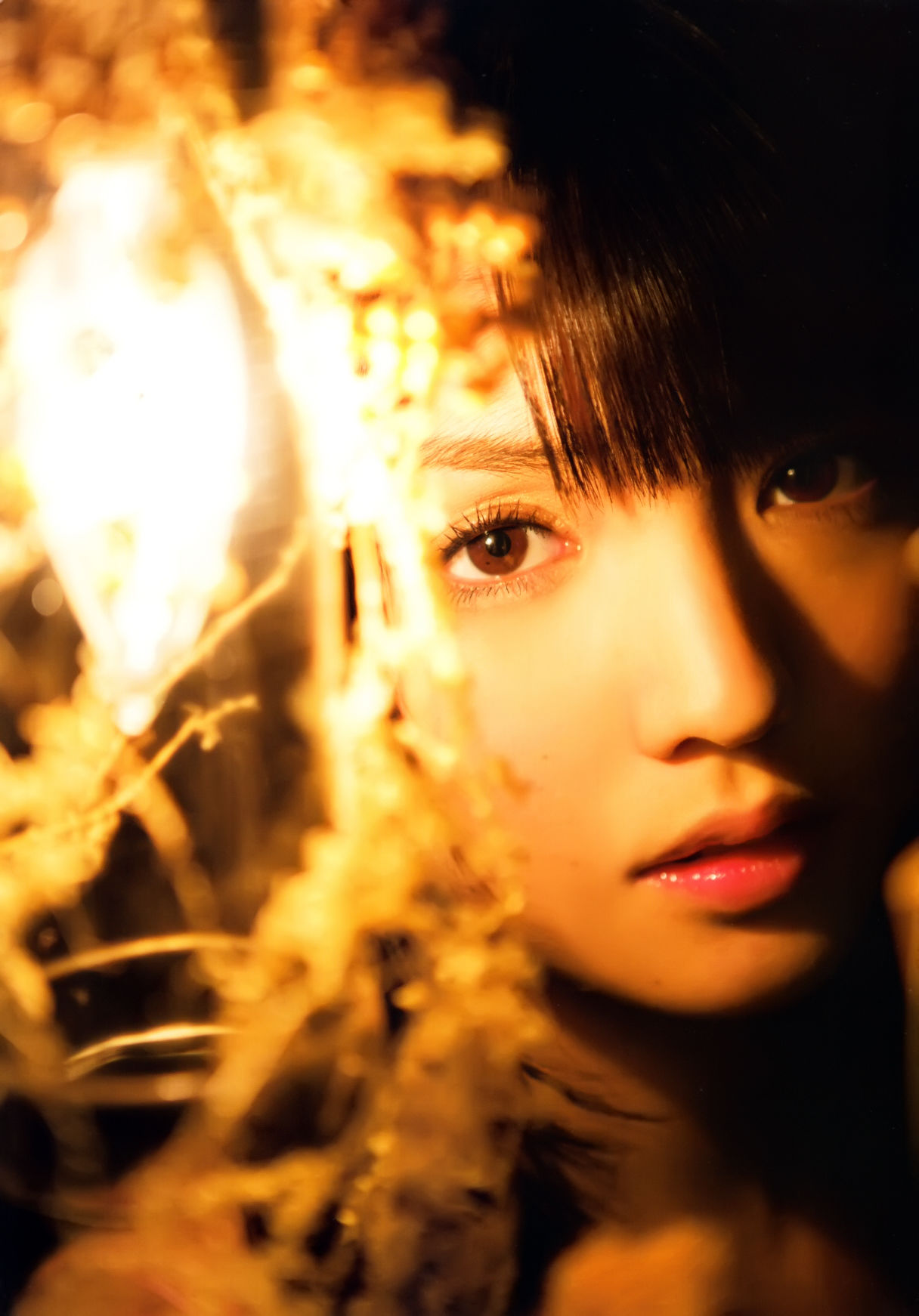 道重さゆみ +-+9th写真集「美ルフィーユ」