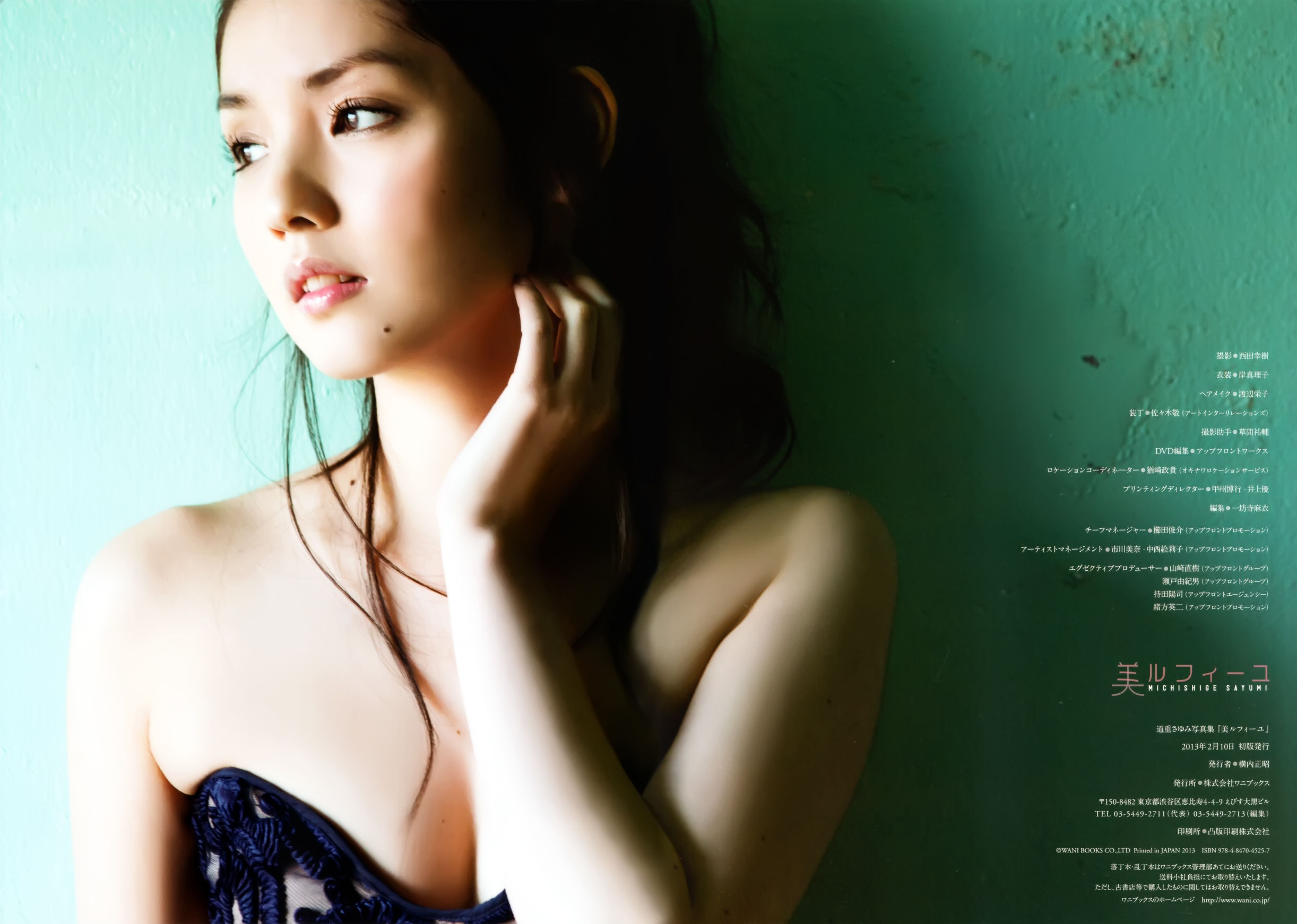 道重さゆみ +-+9th写真集「美ルフィーユ」